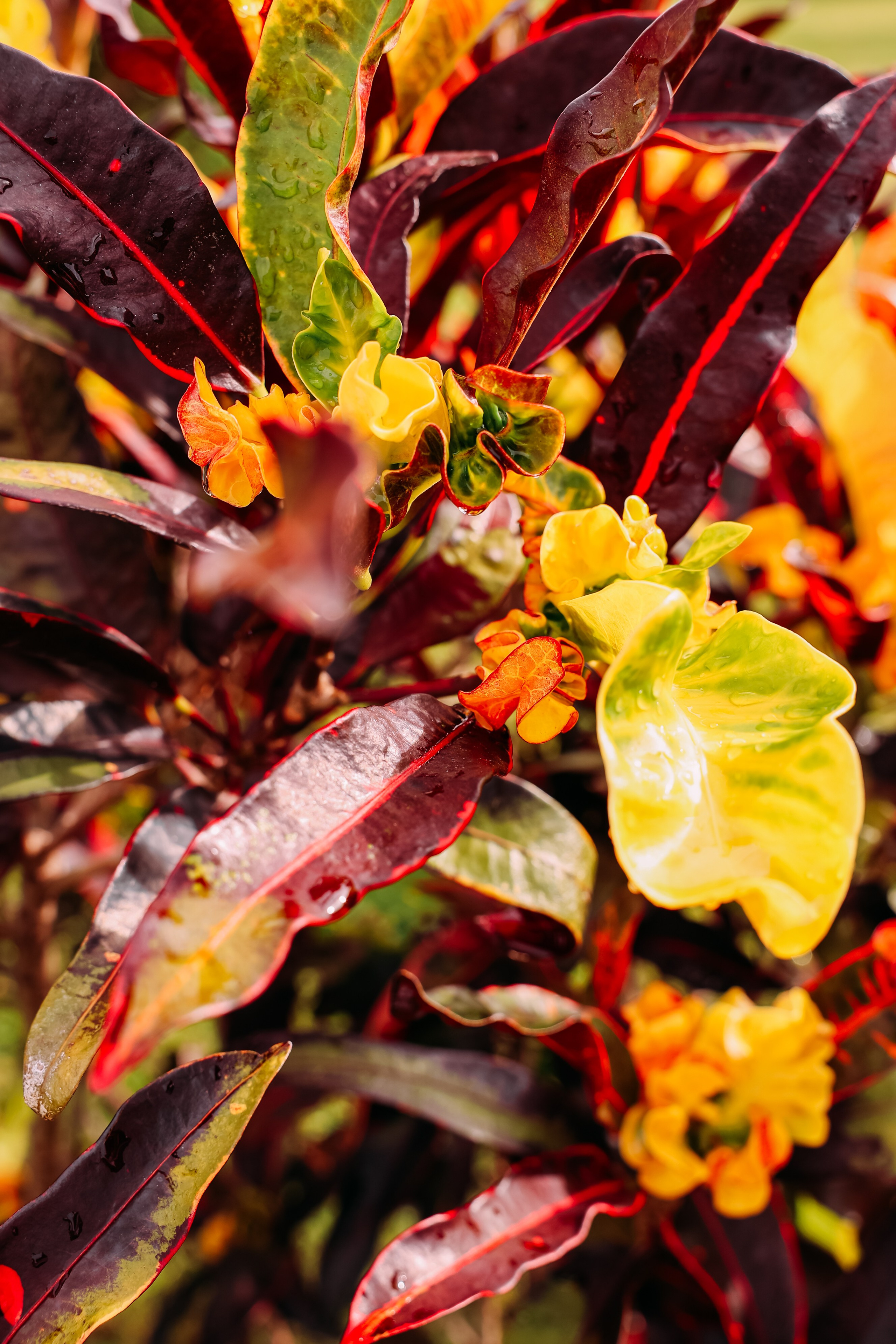 Фотограф Марина Аблаева-Кожедуб