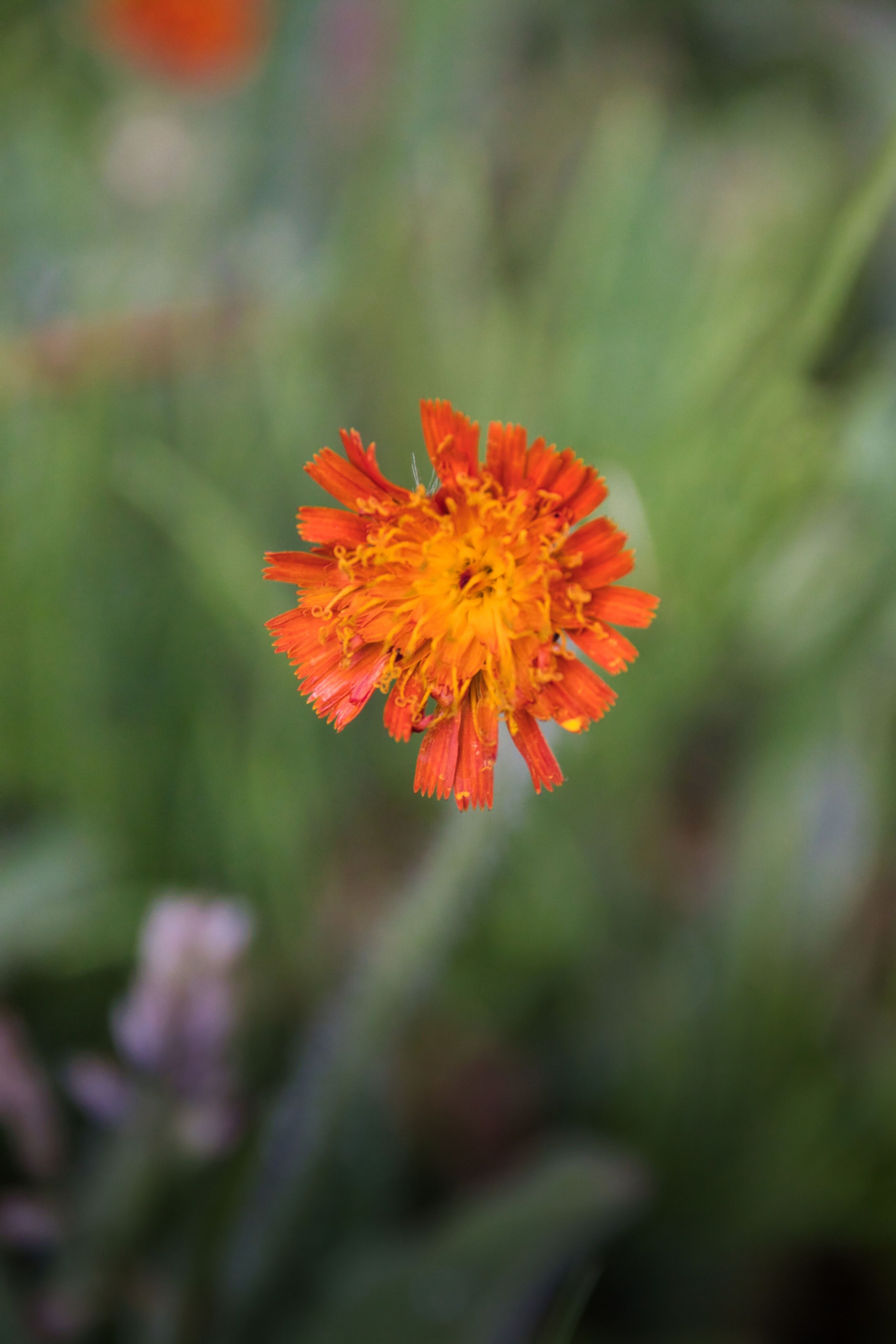 Фотограф в Санкт-Петербурге Георгий Елецких