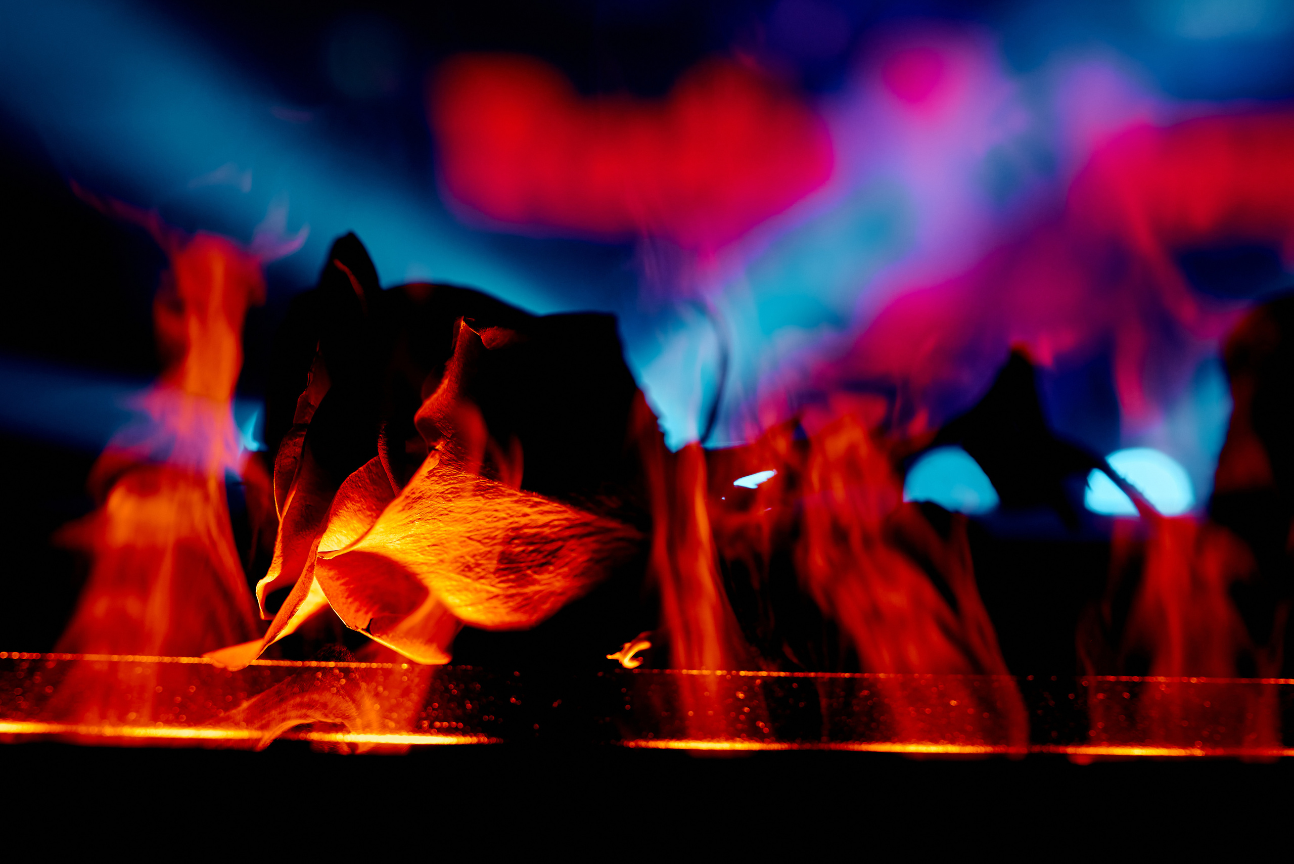 Фотограф Антон Ильченко