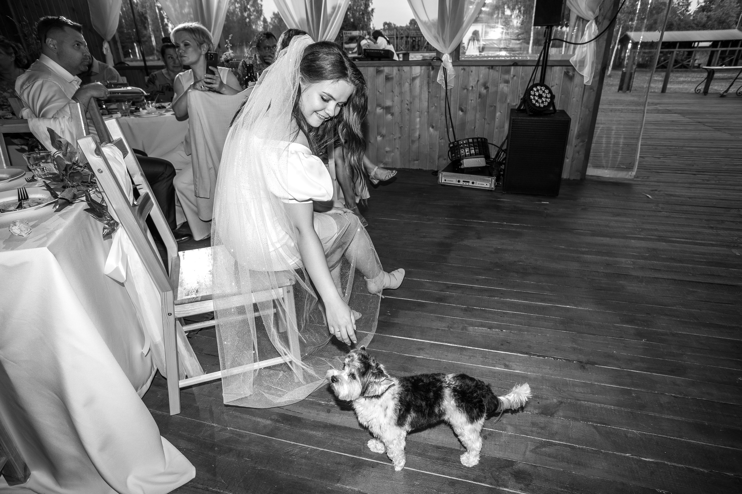 Денис и Аня. Свадебный фотограф Настя Шелл г. Череповец