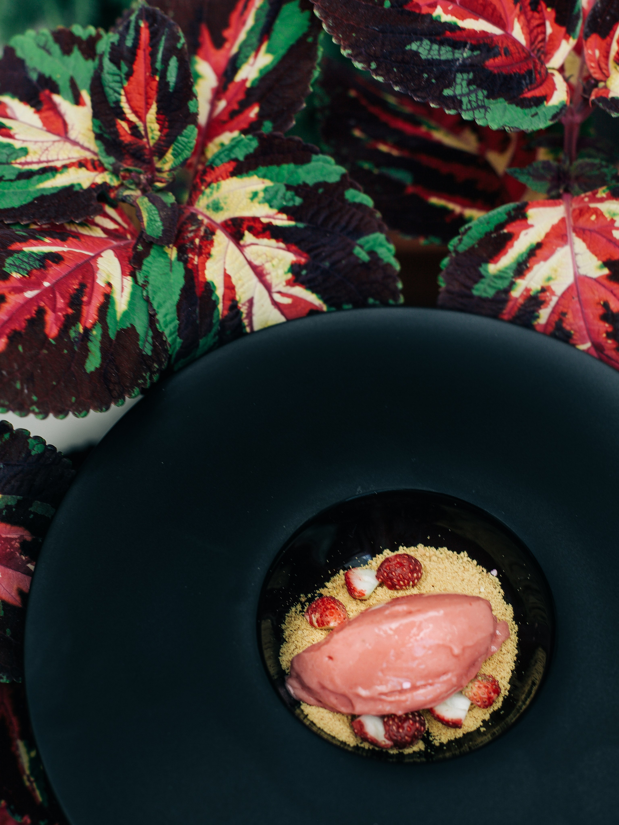 Фотограф дарья родионова