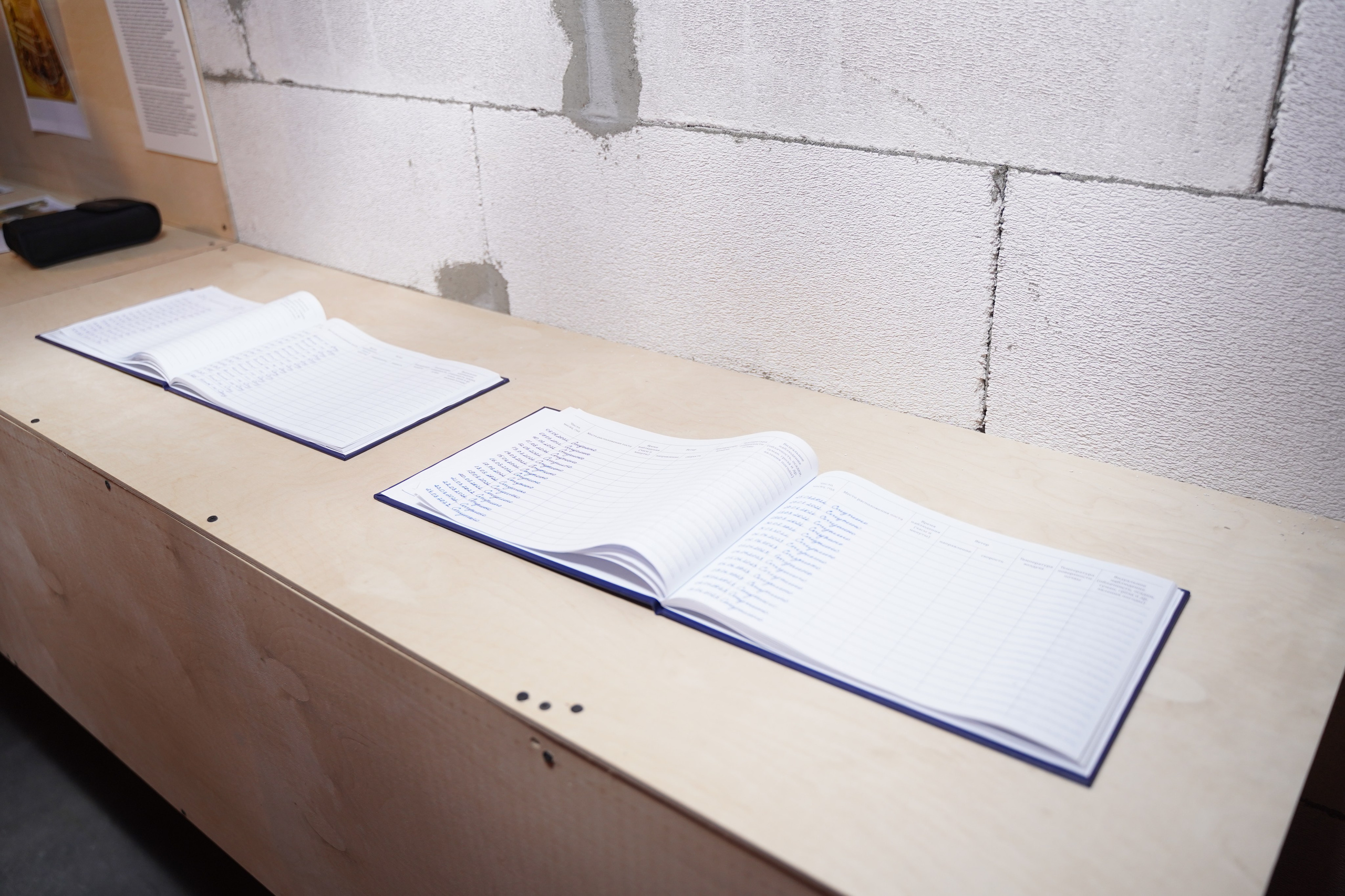 Полуденное, групповая выставка, 26.09-10.10, пространство «Союз», Тула. Лера Круглова