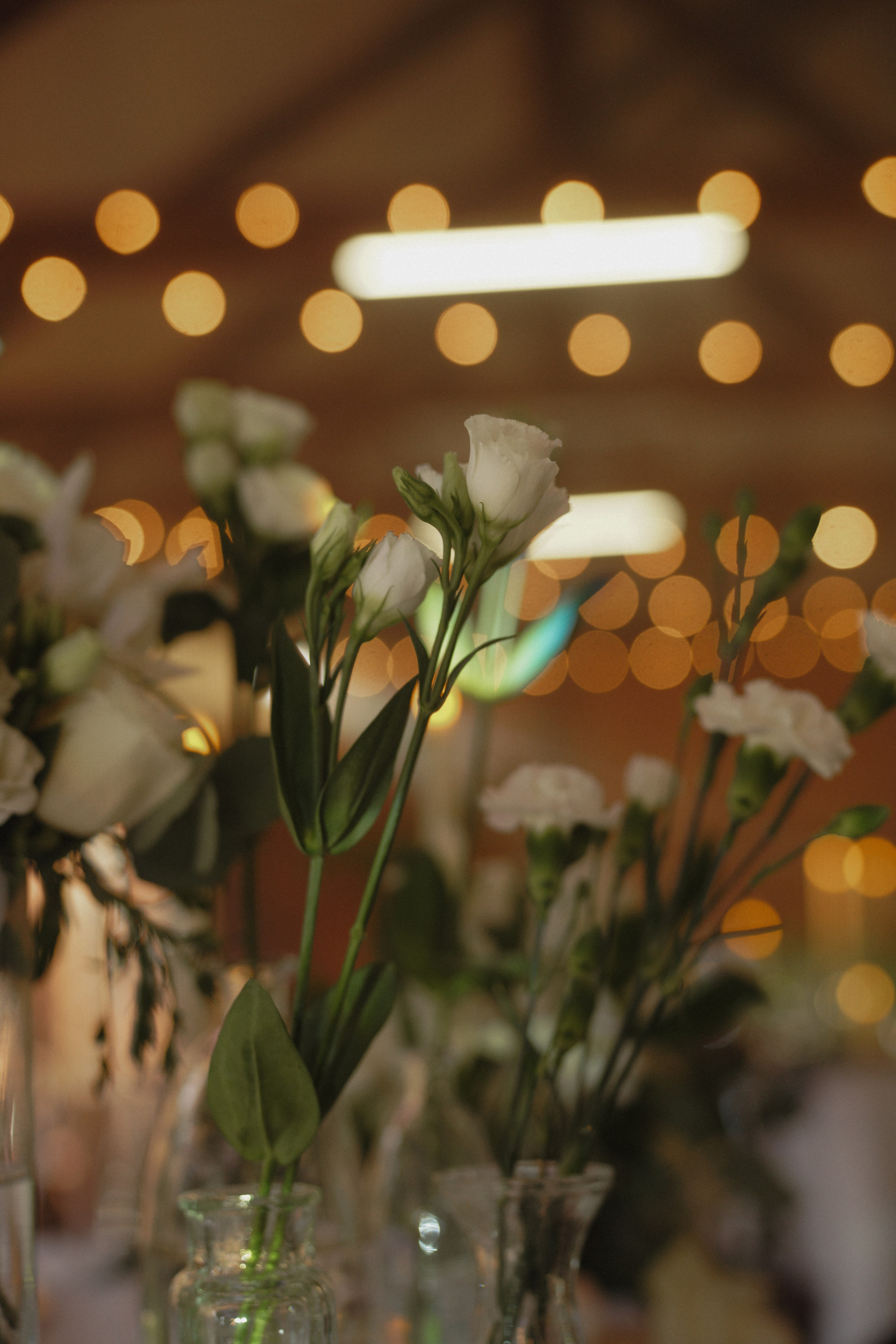 Егор и Карина. Организатор мероприятий в Абакане I Ольга Петухова