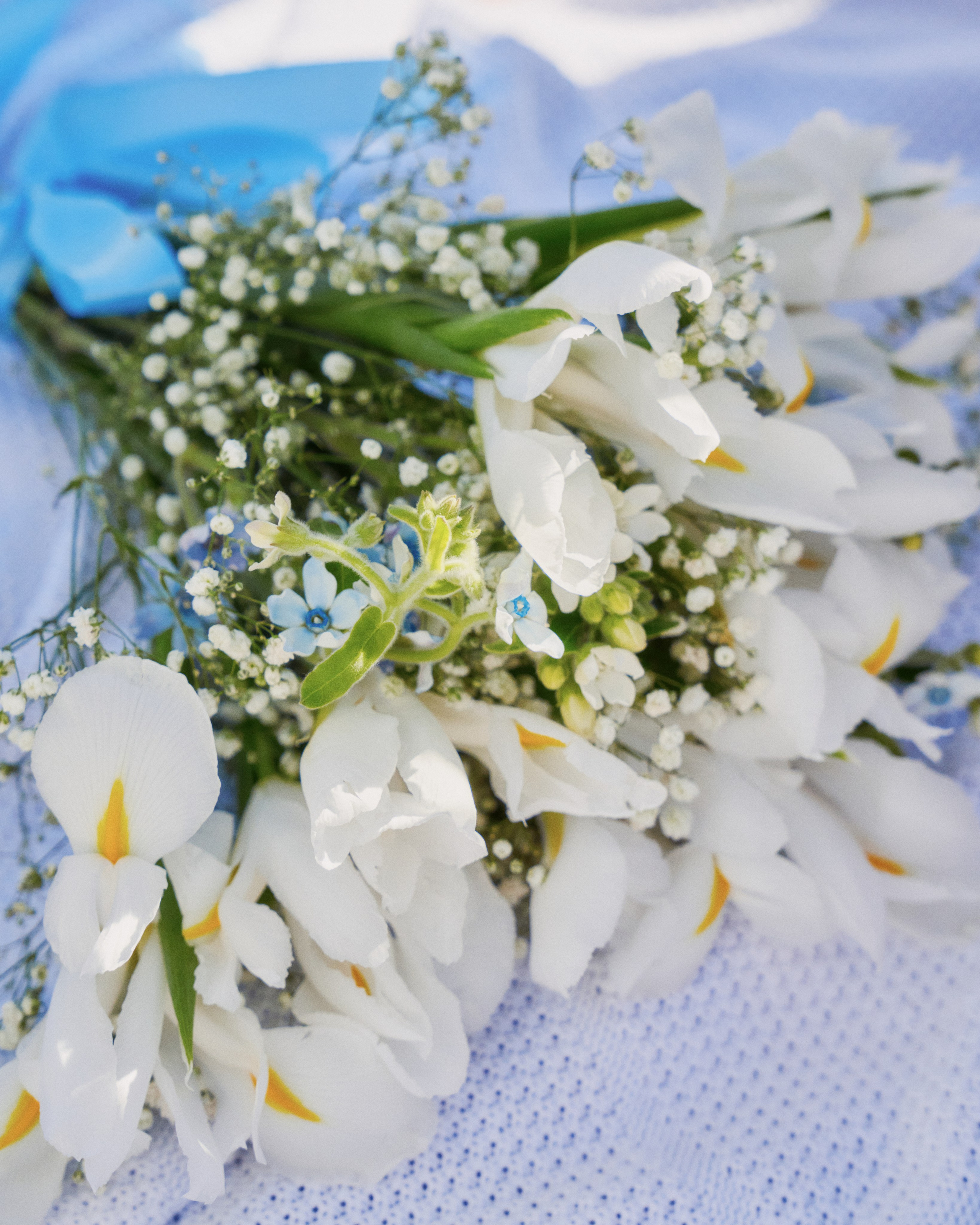 Семейная фотосессия с детьми в Хабаровске — идеи на природе или дома. Фотограф в Хабаровске Дмитрий Лемешков