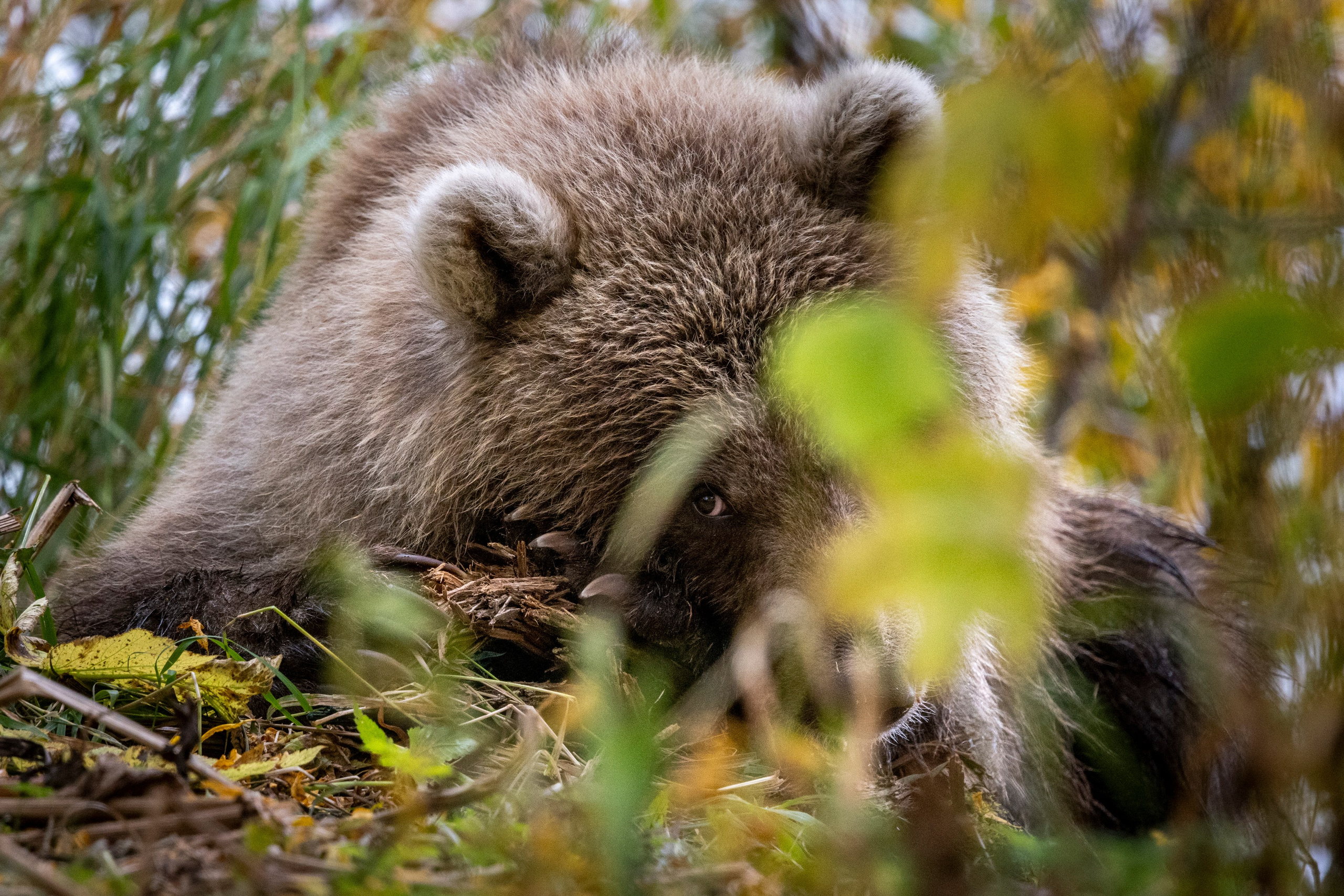 Время Камчатки — кто мы и почему влюблены в полуостров. Время Камчатки: чтобы найти свой путь, нужно скорость умножить на время