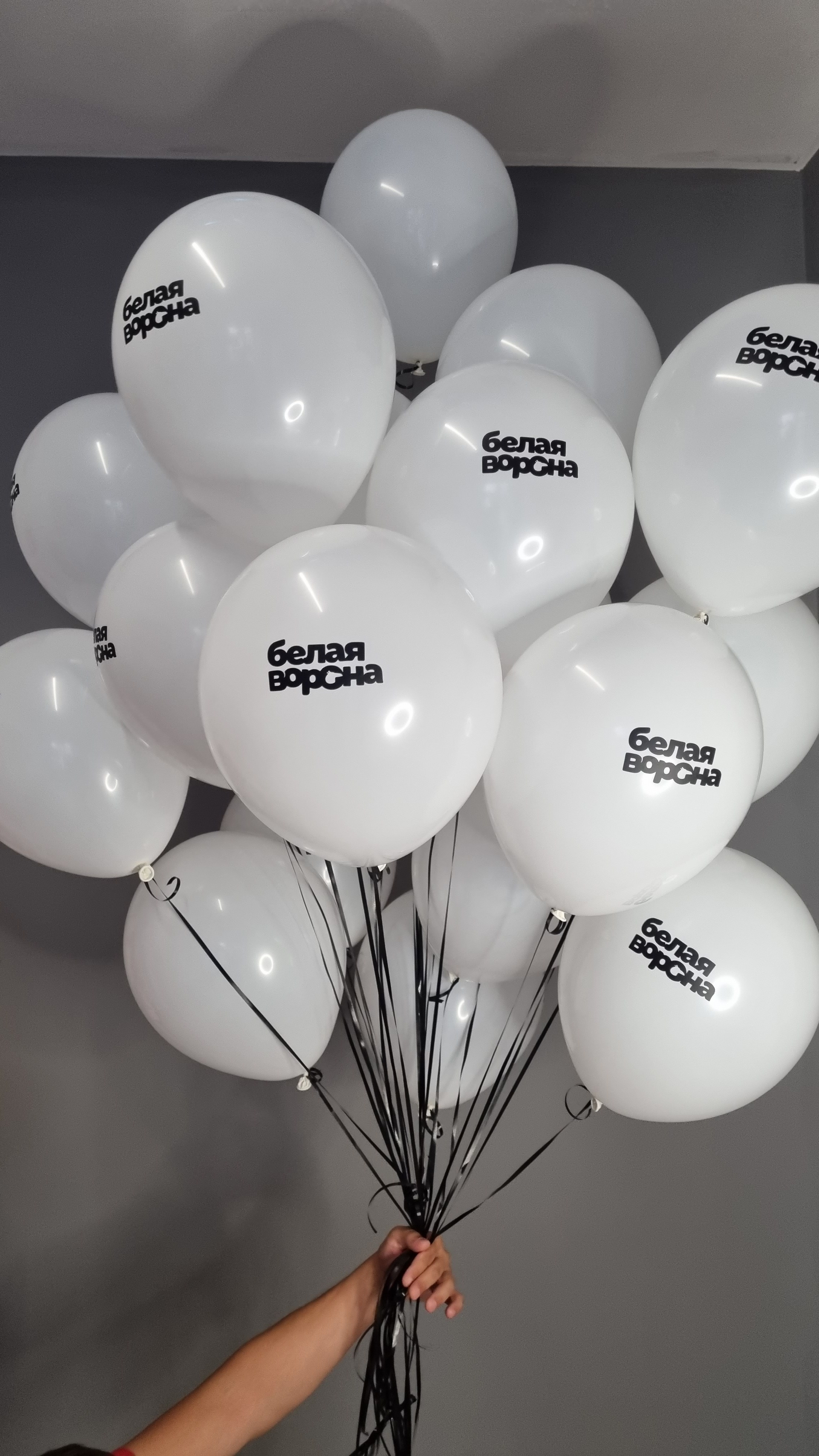 Baloni sa helijimom. Dekoracije balone. Dostava balone. Grad Novi Sad. Шары с гелием, фотозоны Нови Сад Белград. Balone i dekoracije od balona Novi Sad Beograd