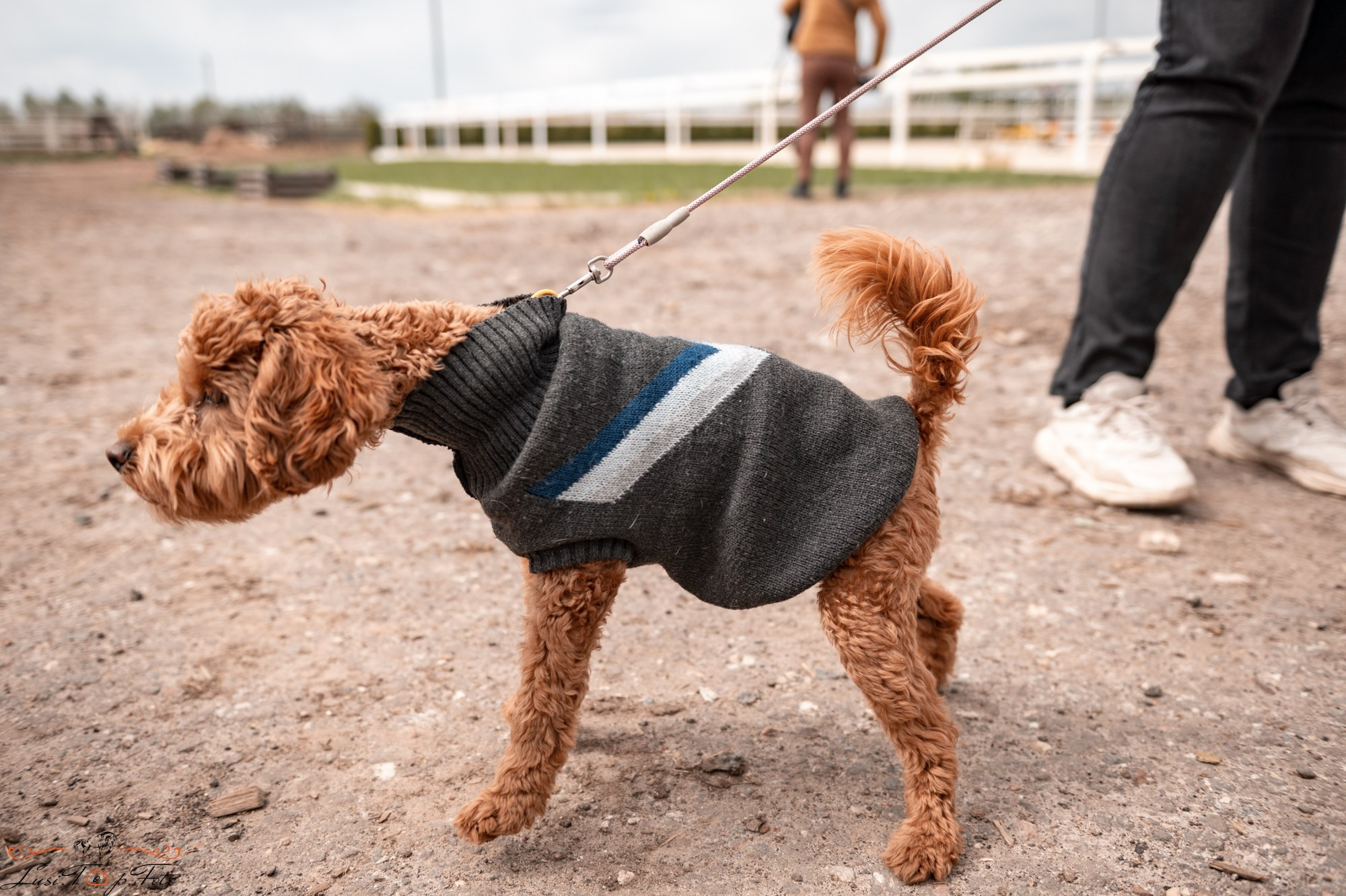 Кубок Победы конного Клуба EQUIPARK по конкуру. Конный и фотограф с животными в Твери Топталова Люся