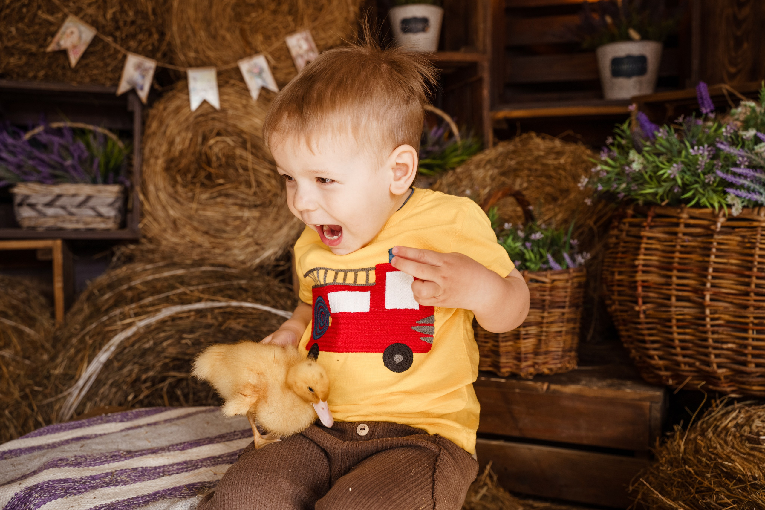 Фотосессия с утятами в студии