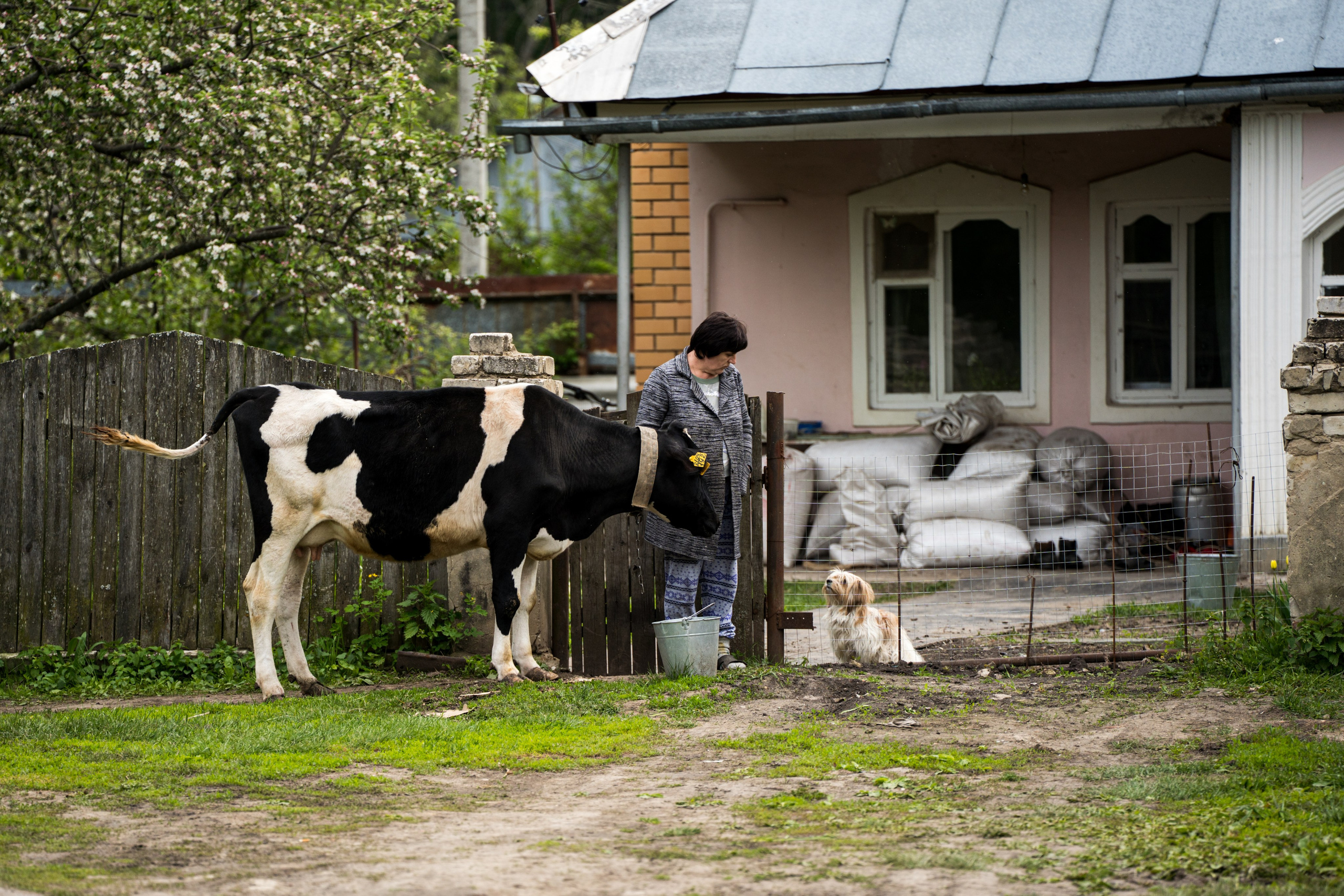 Курс «Стрит фотография»