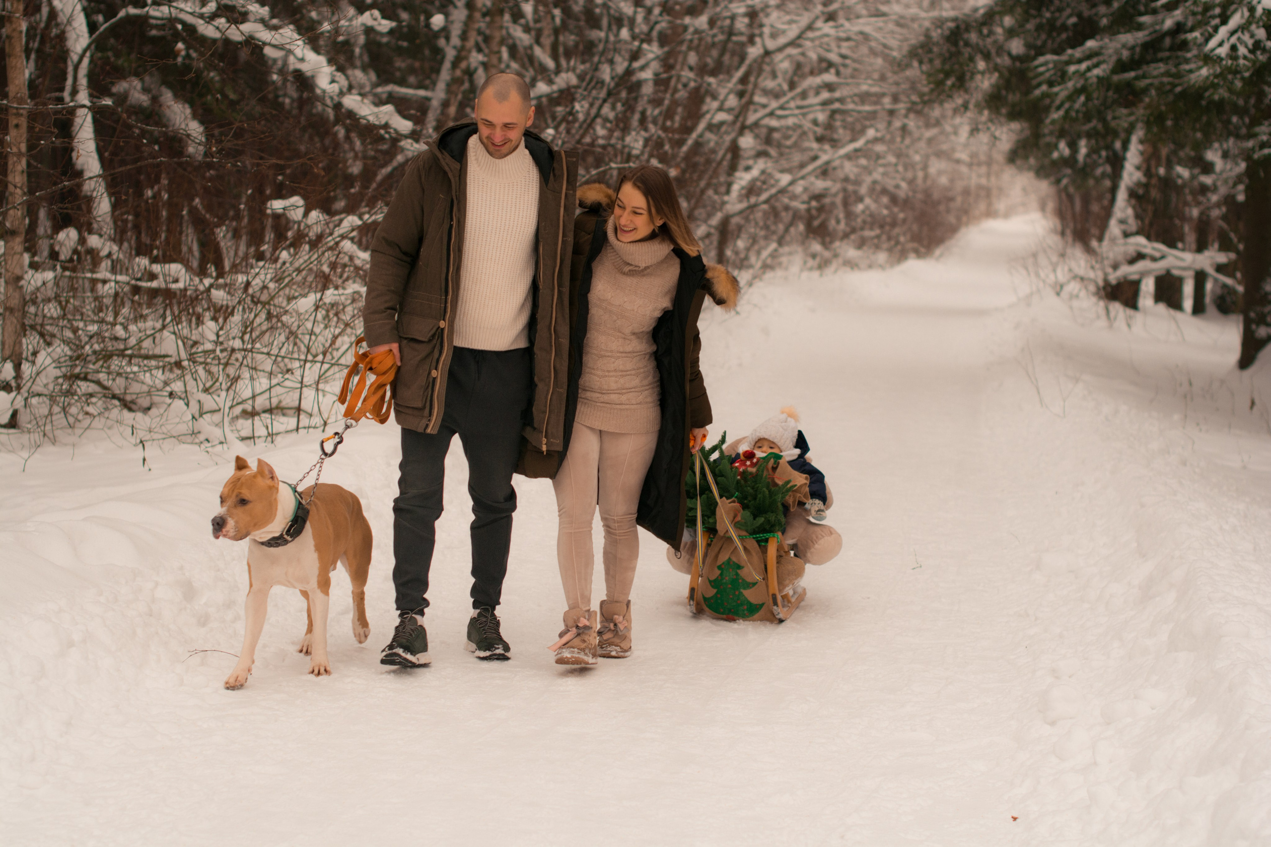 Прогулка в зимнем лесу. Парк Измайлово. Фотосессия беременности — Крылова Натали — Москва