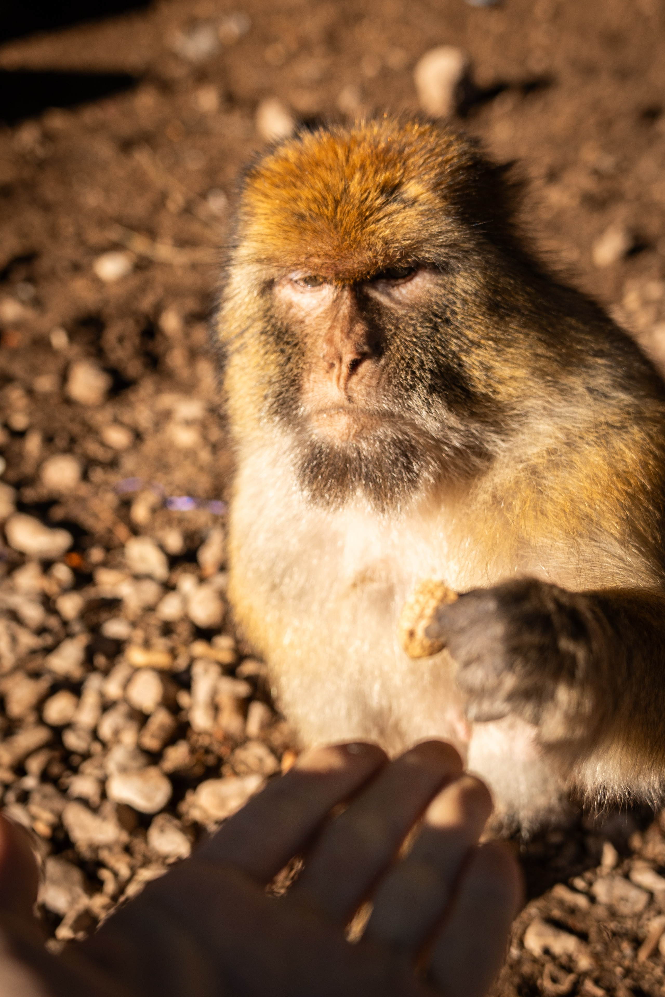 Марокко. Илья Варин — Фотограф Москва, Тверь