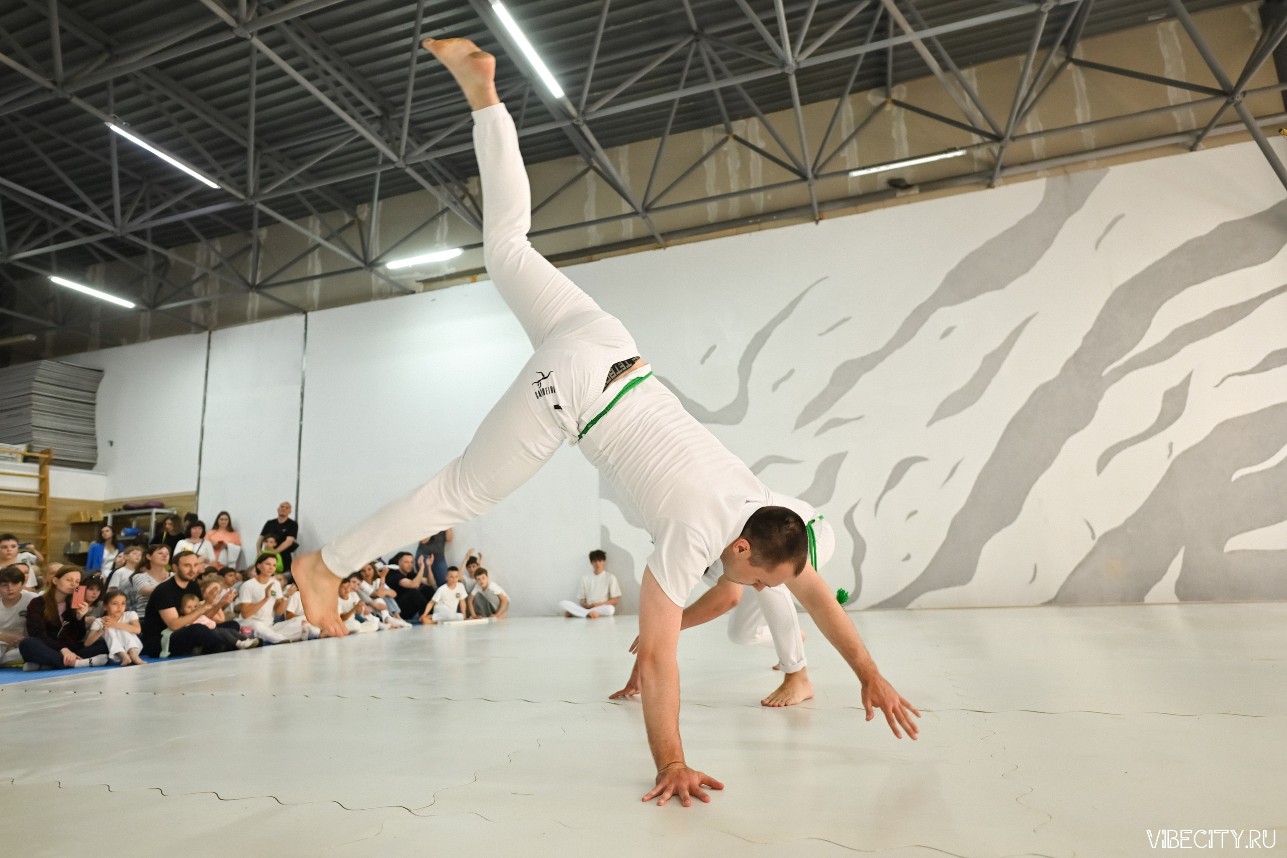 Capoeira: 4-е batizado e Troca de cordao. VIBECITY.RU Вайб Сити Ру Фоторепортажи Фотоотчеты Калининград