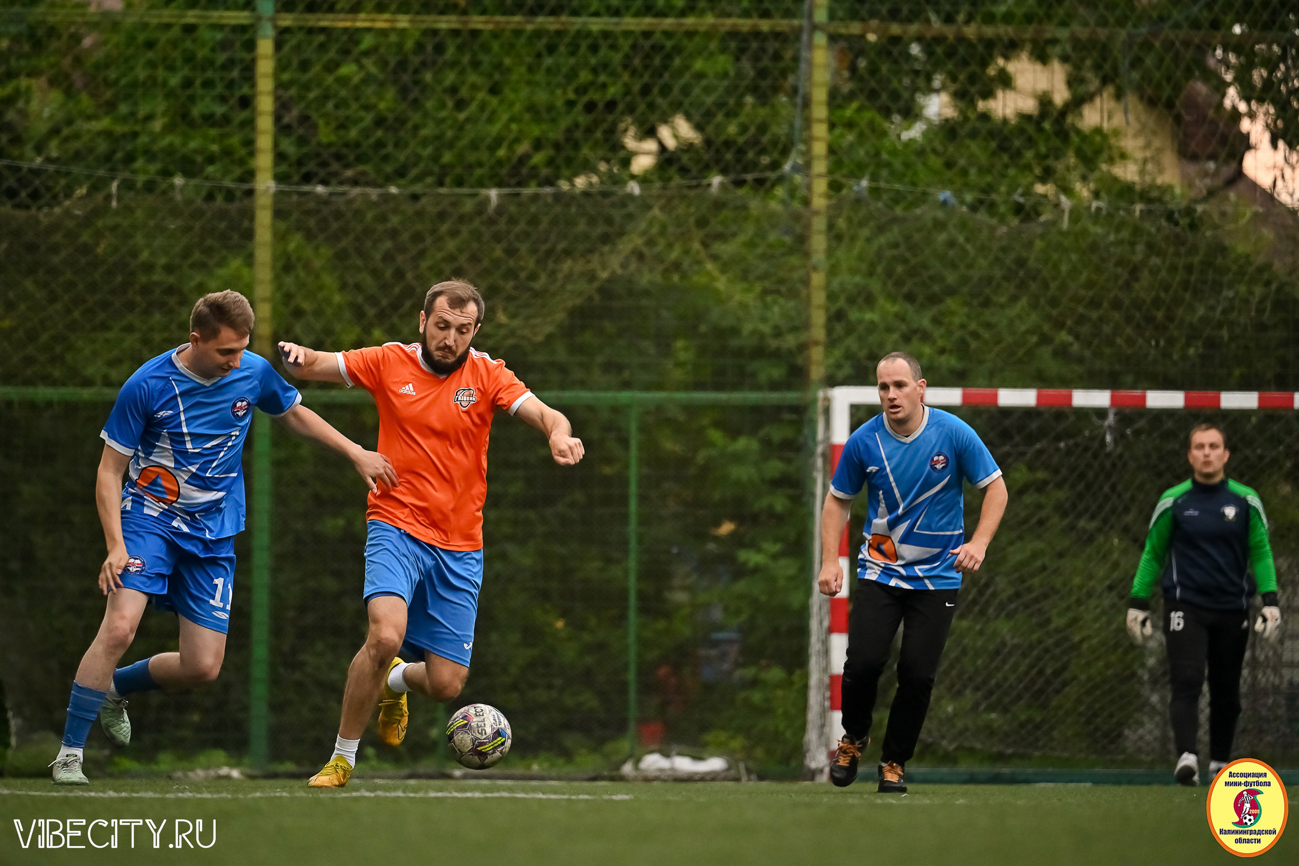 ИГРЫ МИНИ-ФУТБОЛЬНОЙ И КОРПОРАТИВНОЙ ЛИГИ. VIBECITY.RU Вайб Сити Ру Фоторепортажи Фотоотчеты Калининград