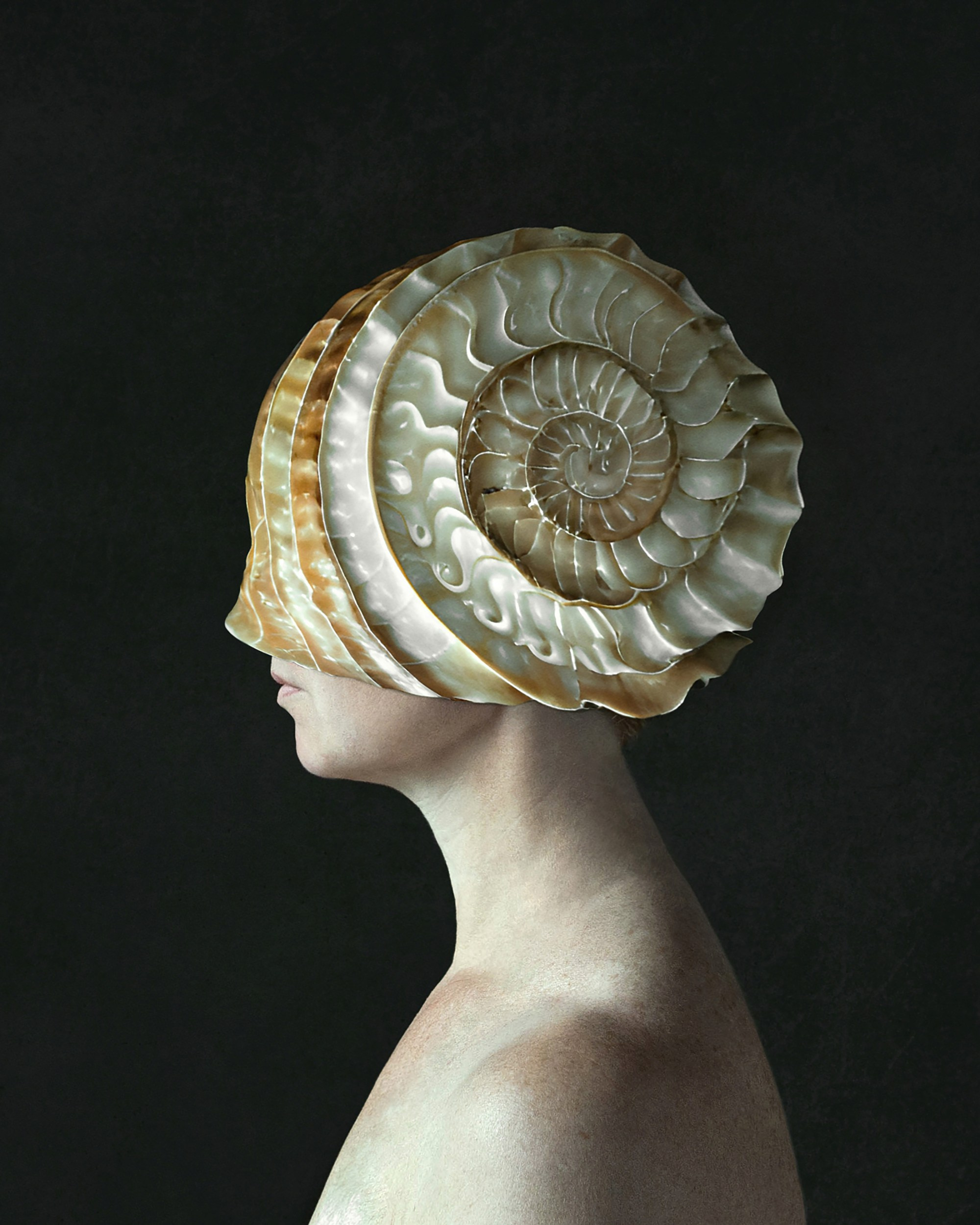 Аммониты / Ammonites. Visual artist Olga Burmistrova