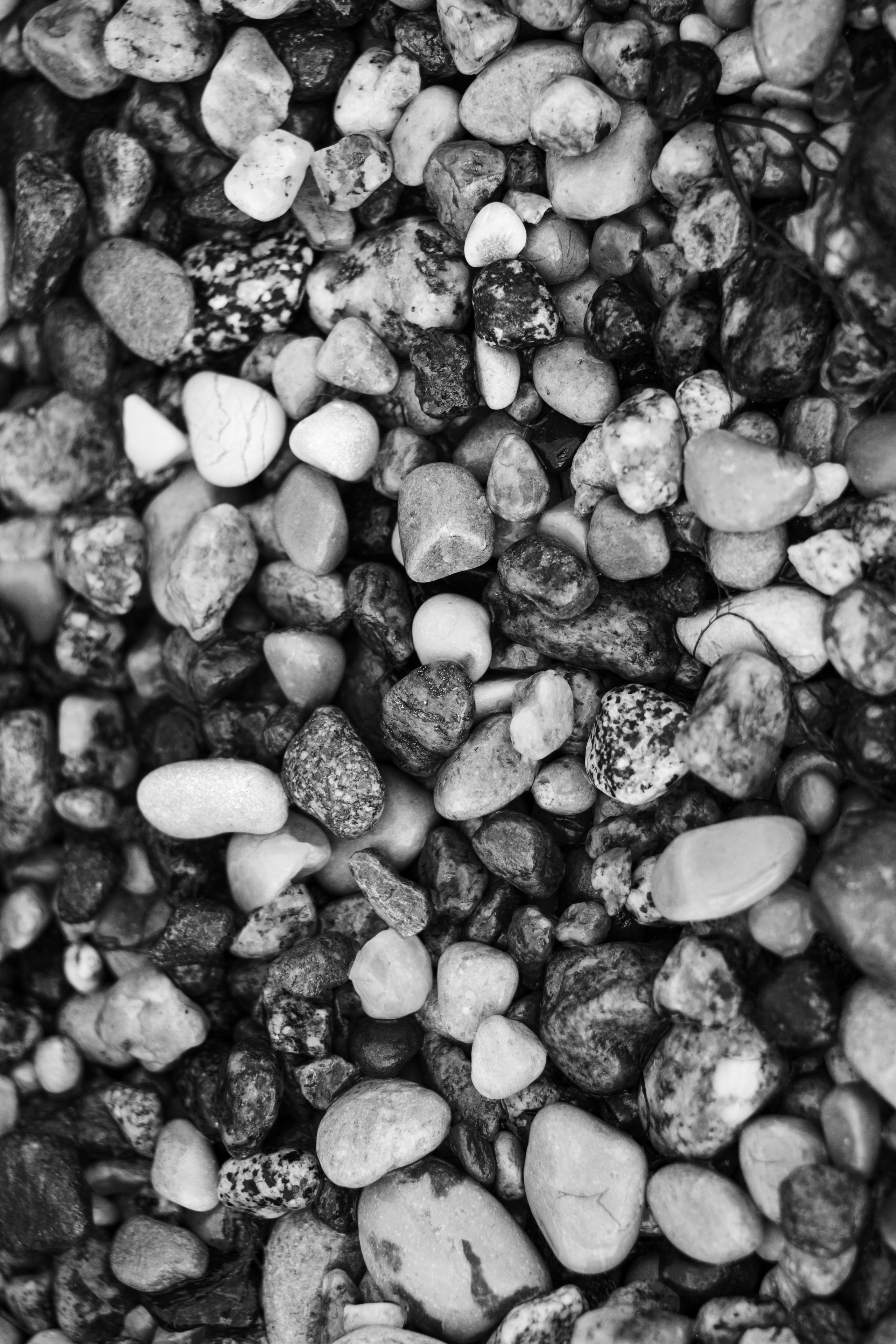 Морская стихия