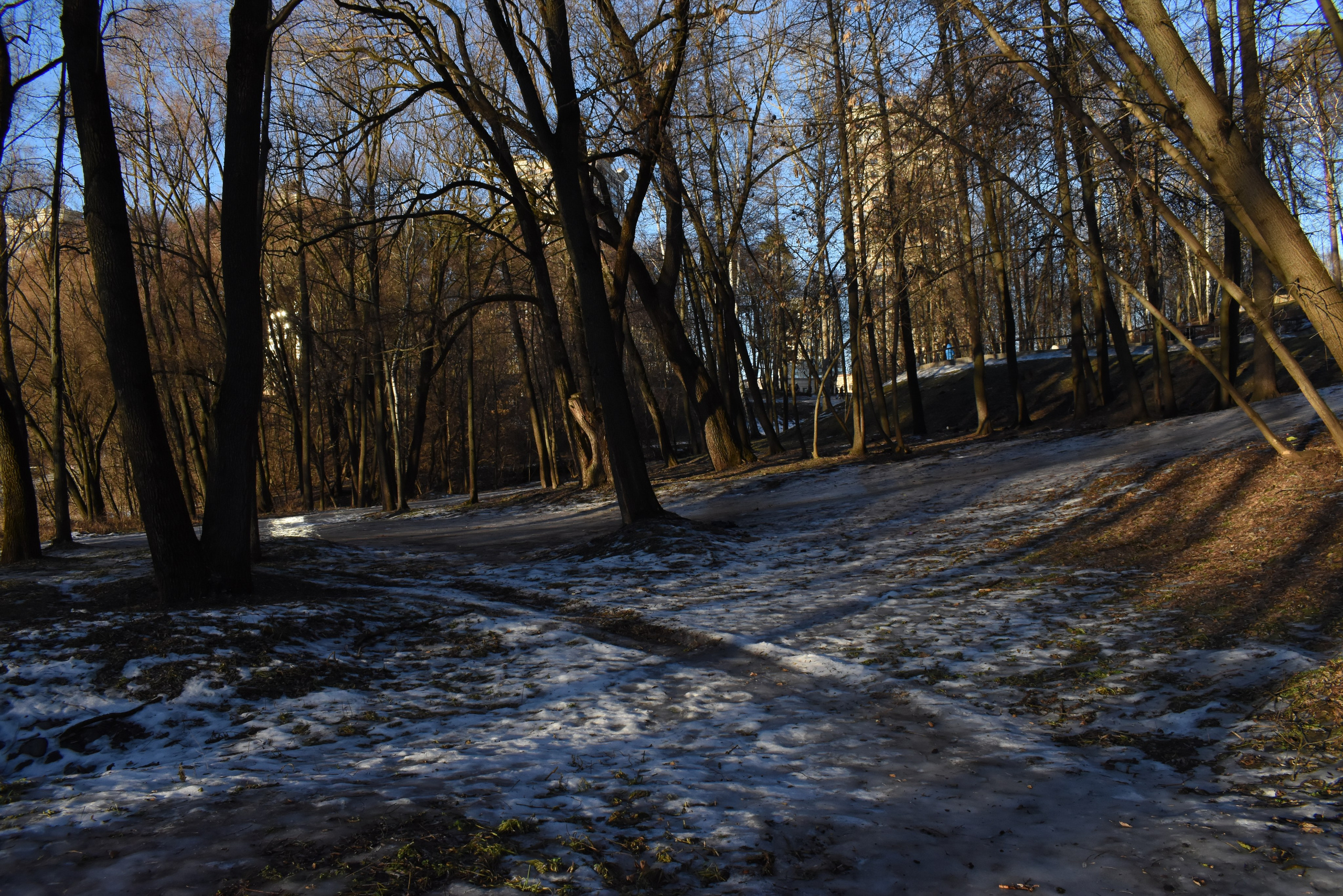 Раменское. Фотограф Анатолий Мелентьев
