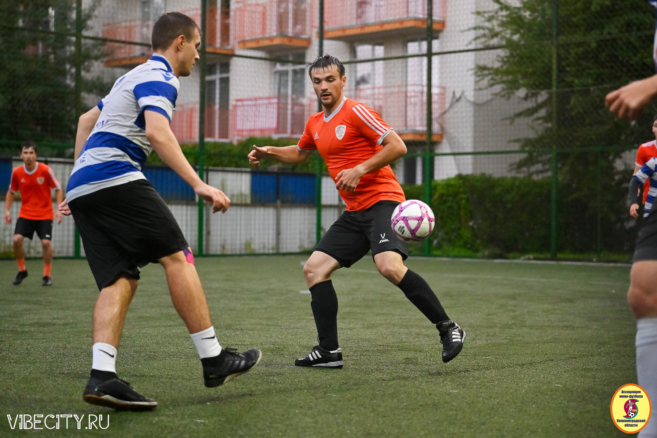 ИГРЫ МИНИ-ФУТБОЛЬНОЙ И КОРПОРАТИВНОЙ ЛИГИ. VIBECITY.RU Вайб Сити Ру Фоторепортажи Фотоотчеты Калининград
