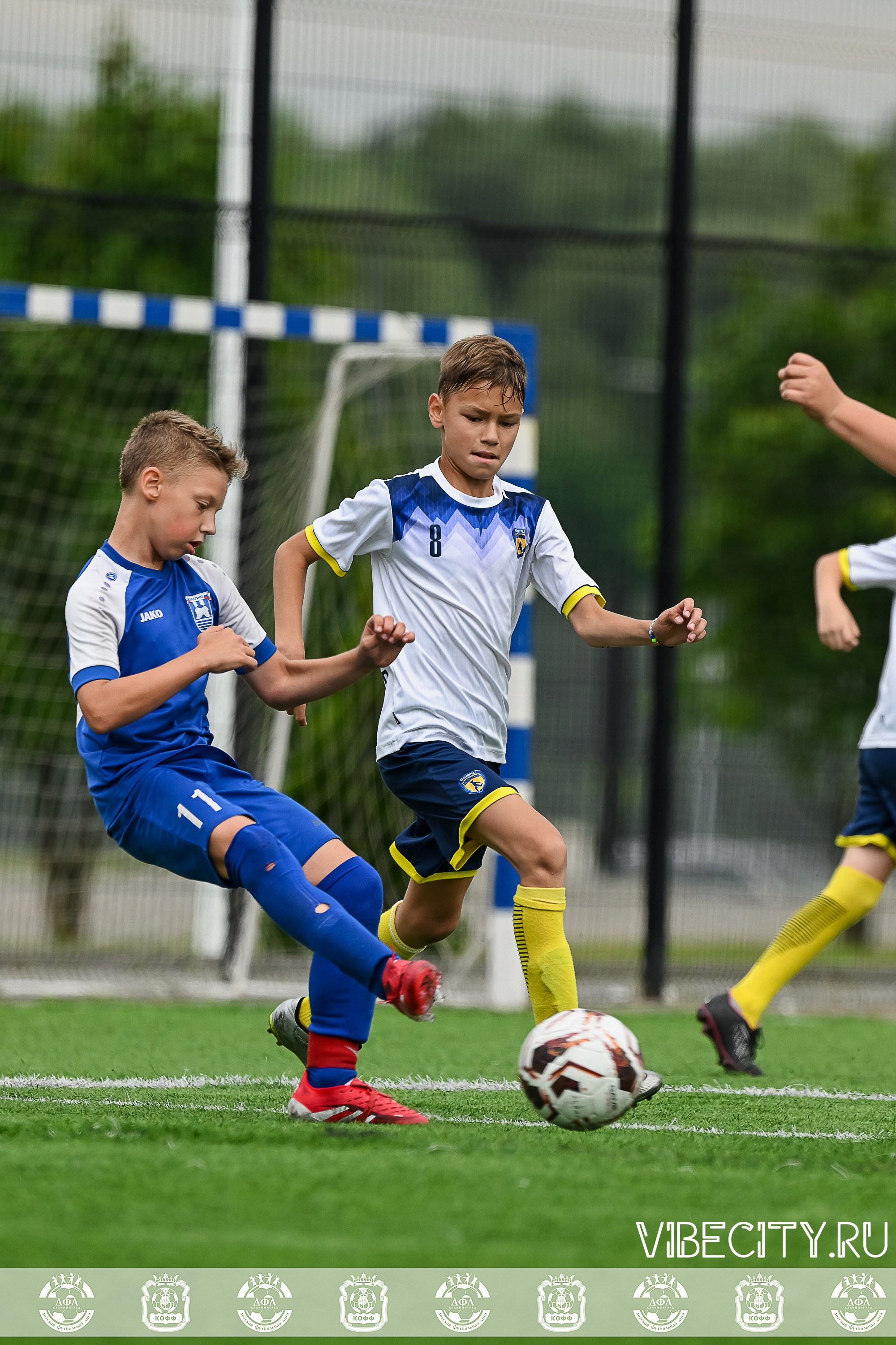 Калининградская Детская Футбольная Лига. VIBECITY.RU Вайб Сити Ру Фоторепортажи Фотоотчеты Калининград