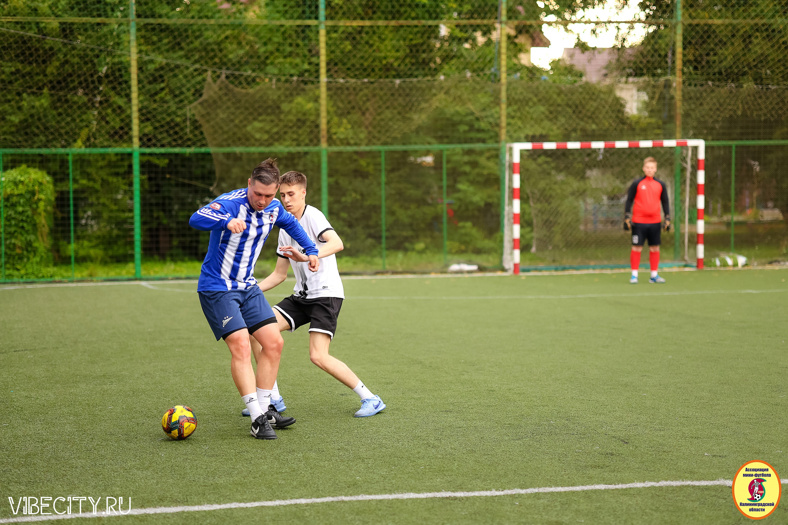 ИГРЫ МИНИ-ФУТБОЛЬНОЙ И КОРПОРАТИВНОЙ ЛИГИ. VIBECITY.RU Вайб Сити Ру Фоторепортажи Фотоотчеты Калининград