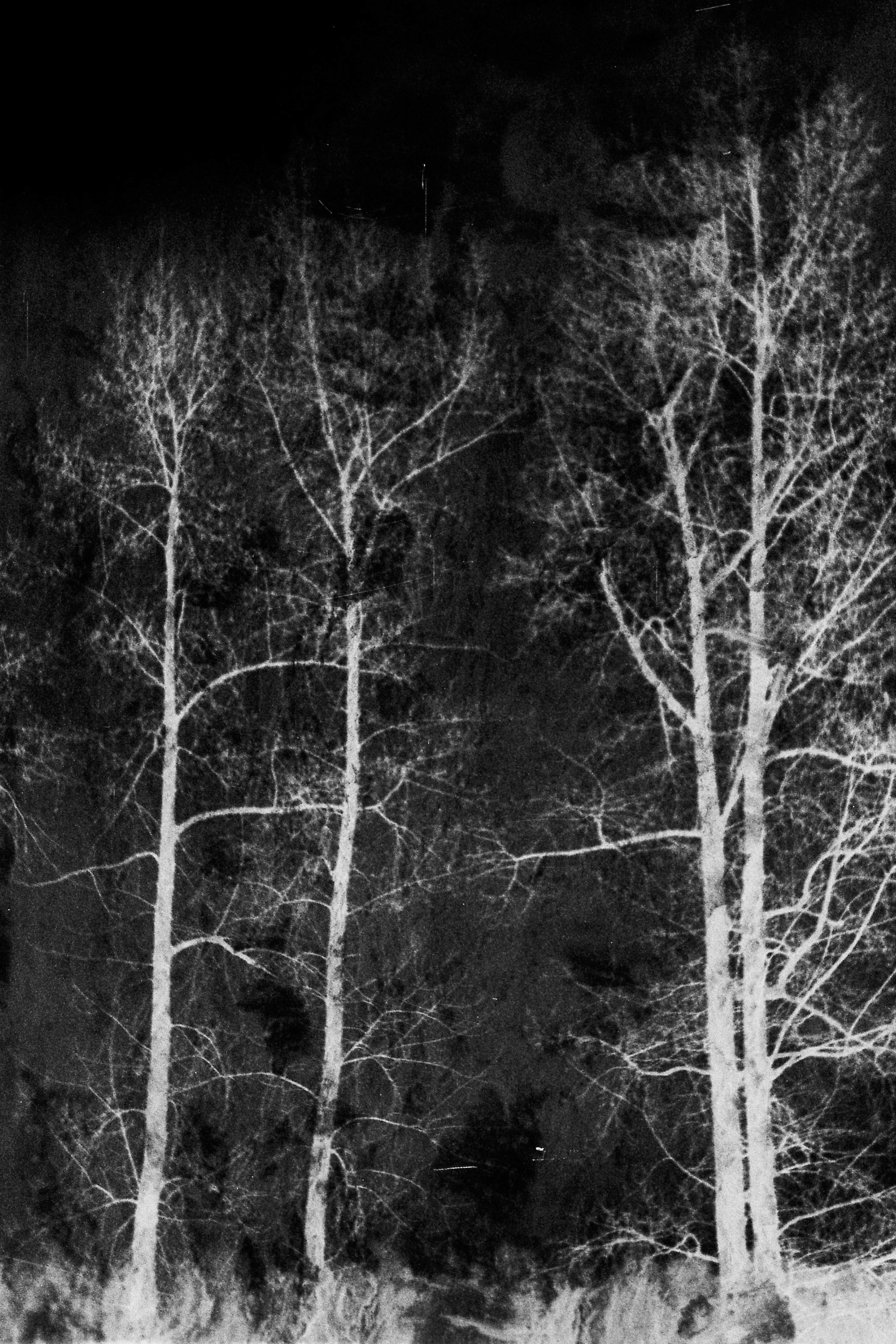 Осенние нуары. Контент-креатор Паша Норицын