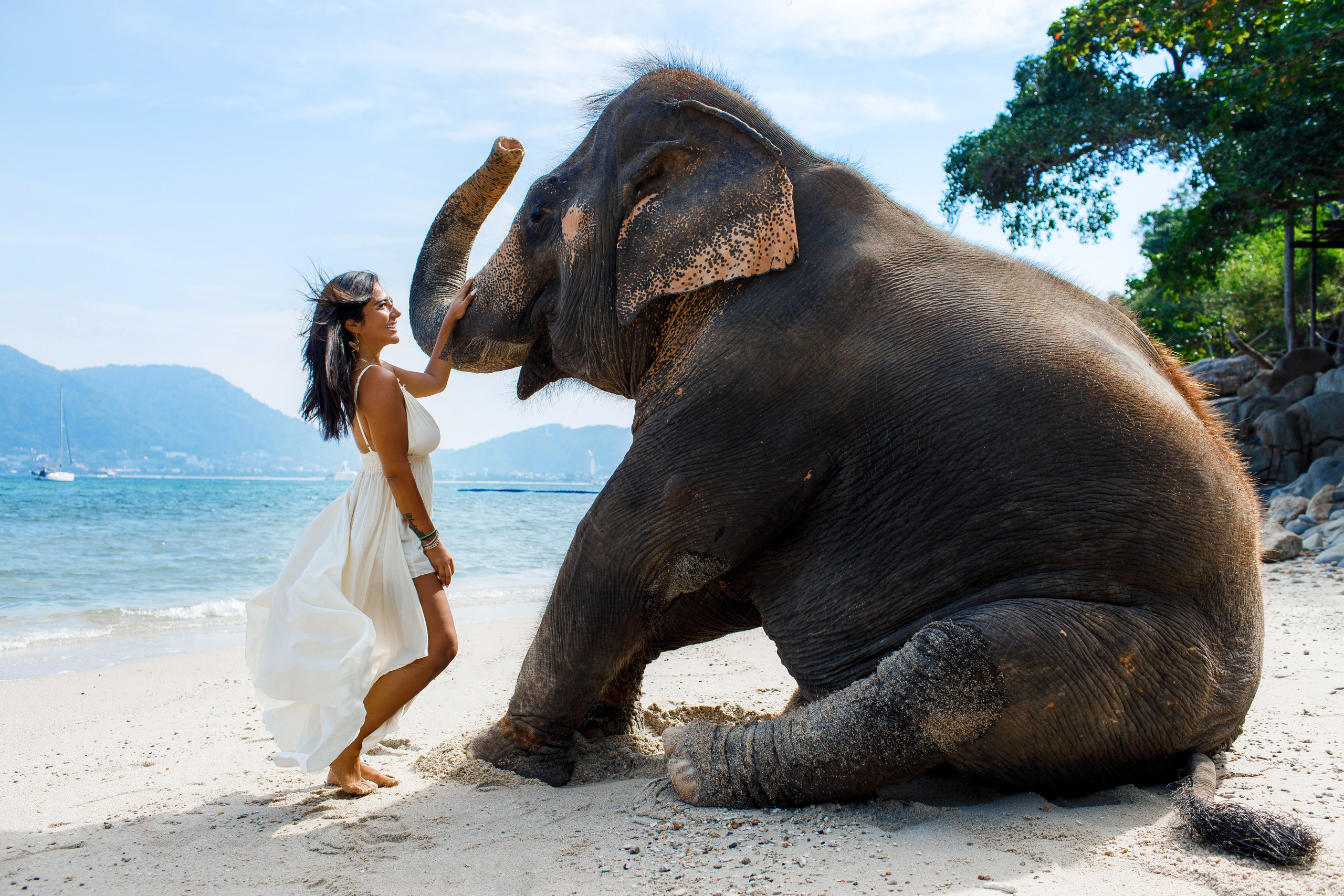 Фотосессия со слонами на Пхукете. Фотограф на Пхукете в Таиланде