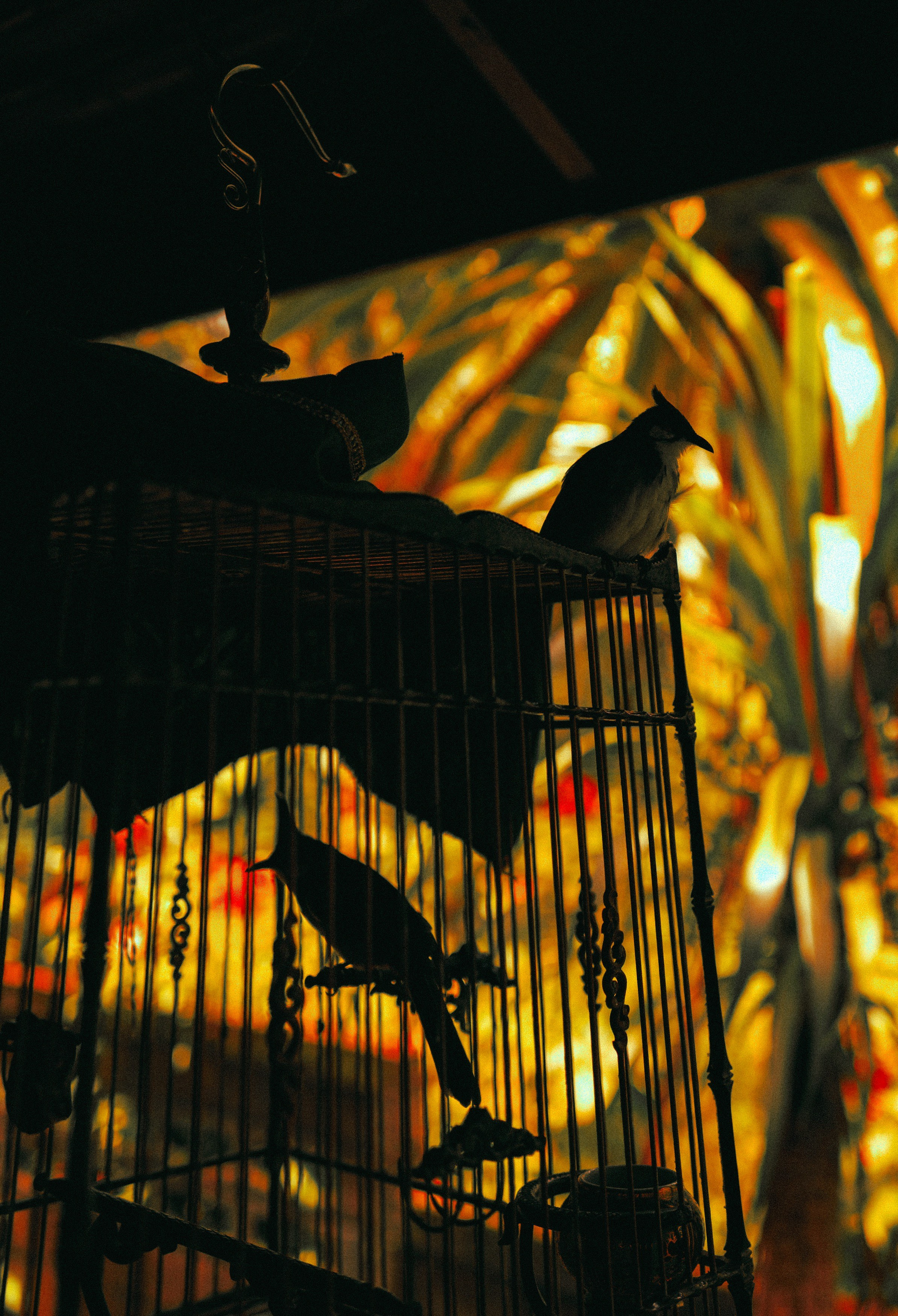 AUTHENTIC FILM. Visual artist Daniil Kontorovich