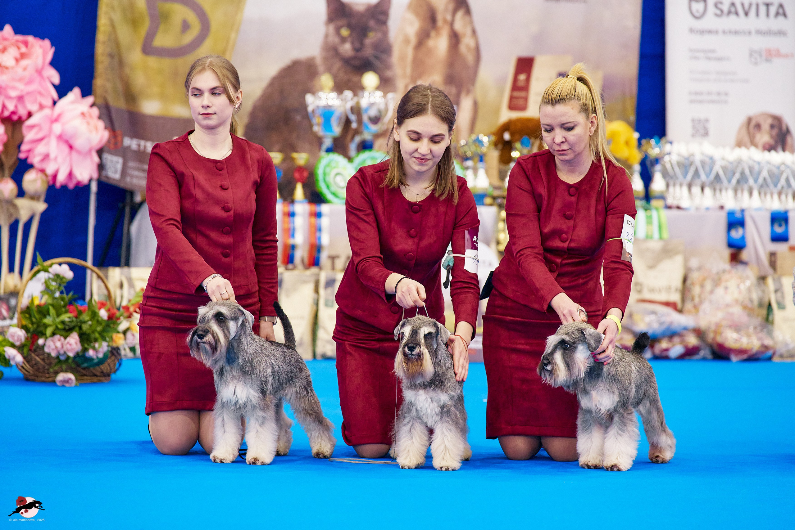 ГРАН ПРИ «ВЕСЕННИЙ ПЕТЕРБУРГ» & «СУПЕР КУБОК «ЭЛИТЫ»-2025»