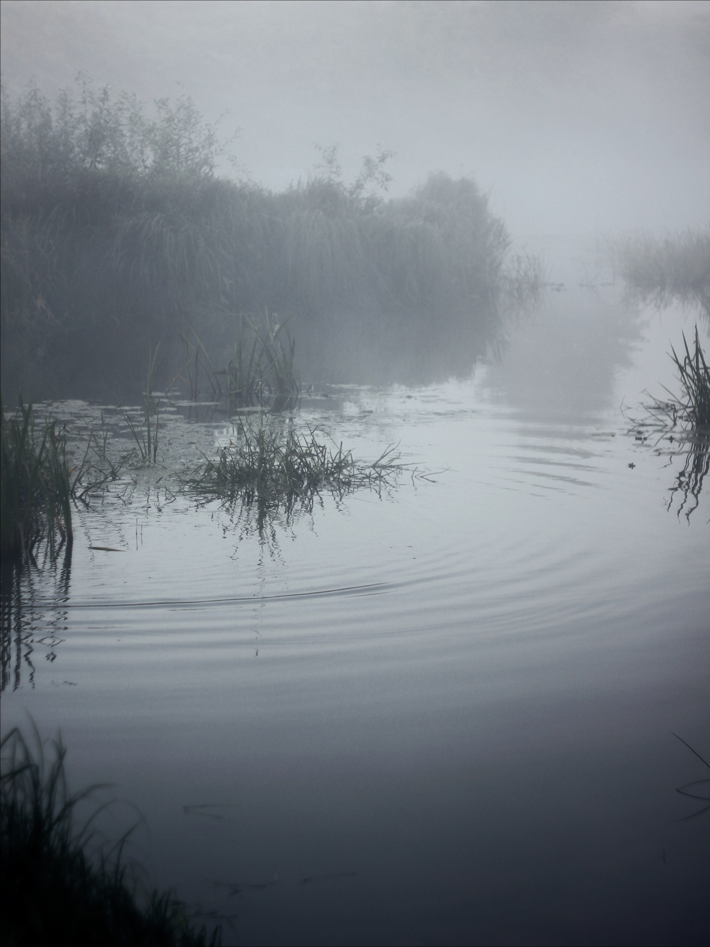 Опустошенность. С любовью, фотохудожник