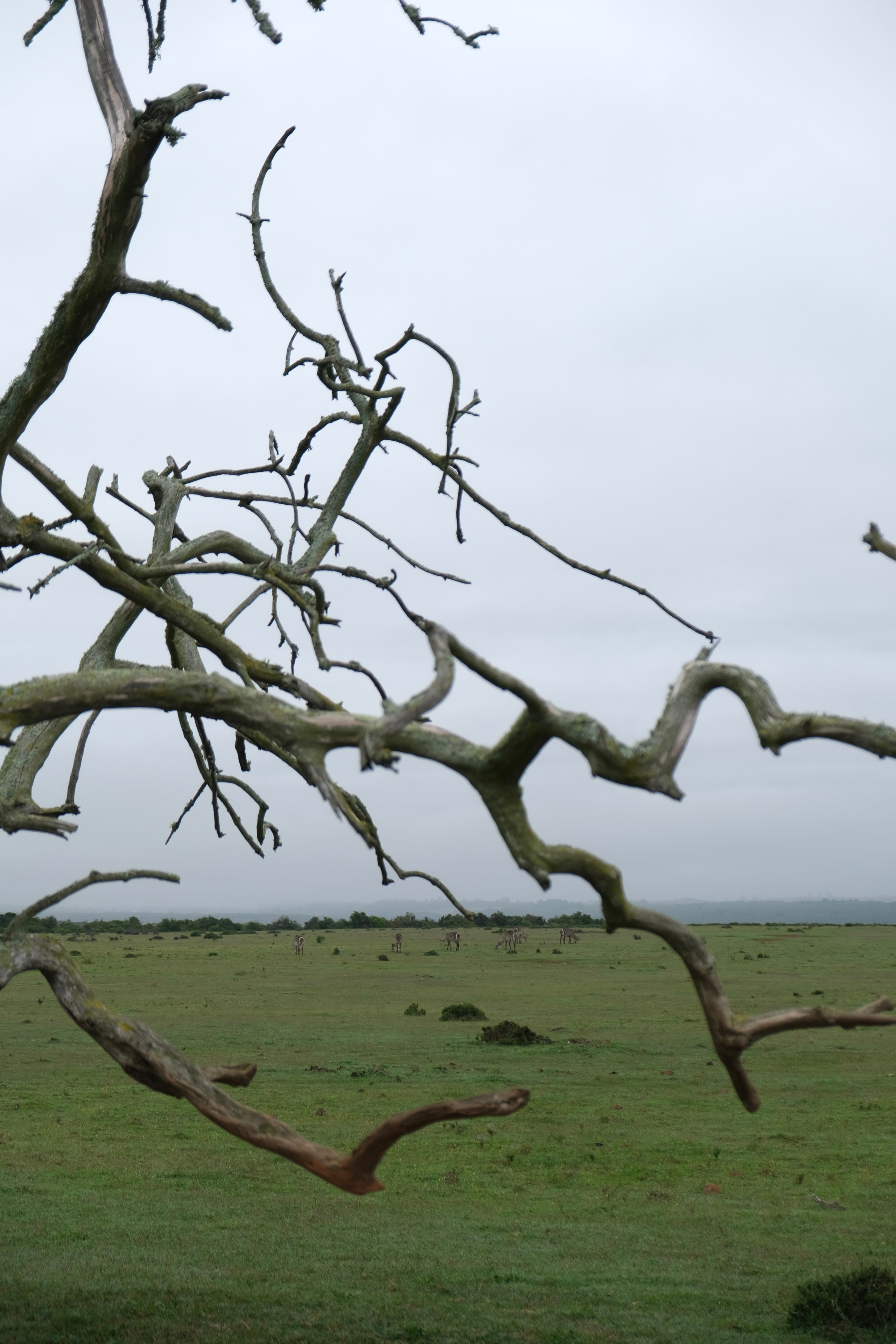 Nataresso | фотограф Москва