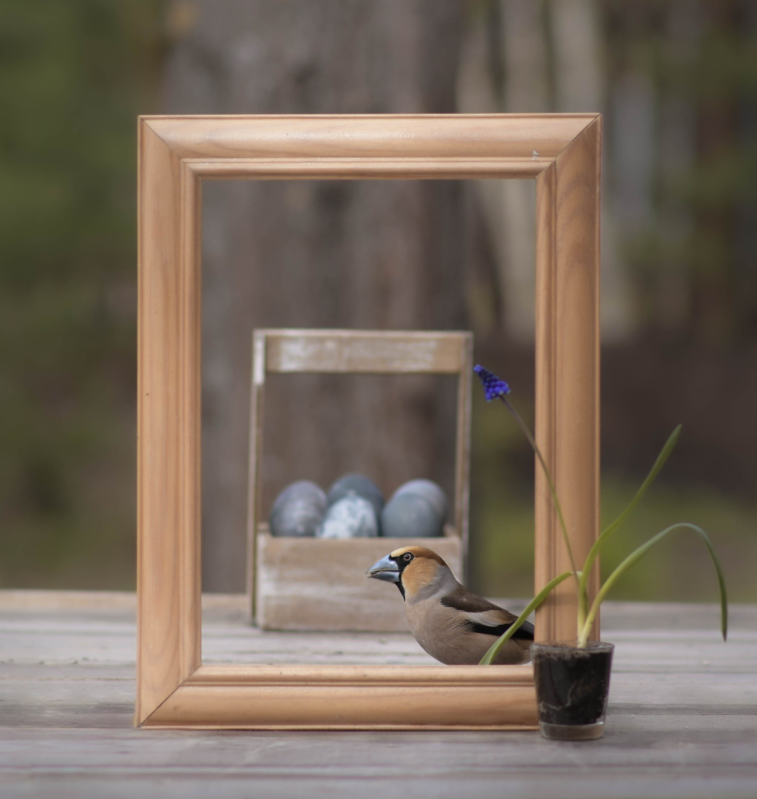 В созвучии с природой. Фотограф Светлана В. Пронина, Москва