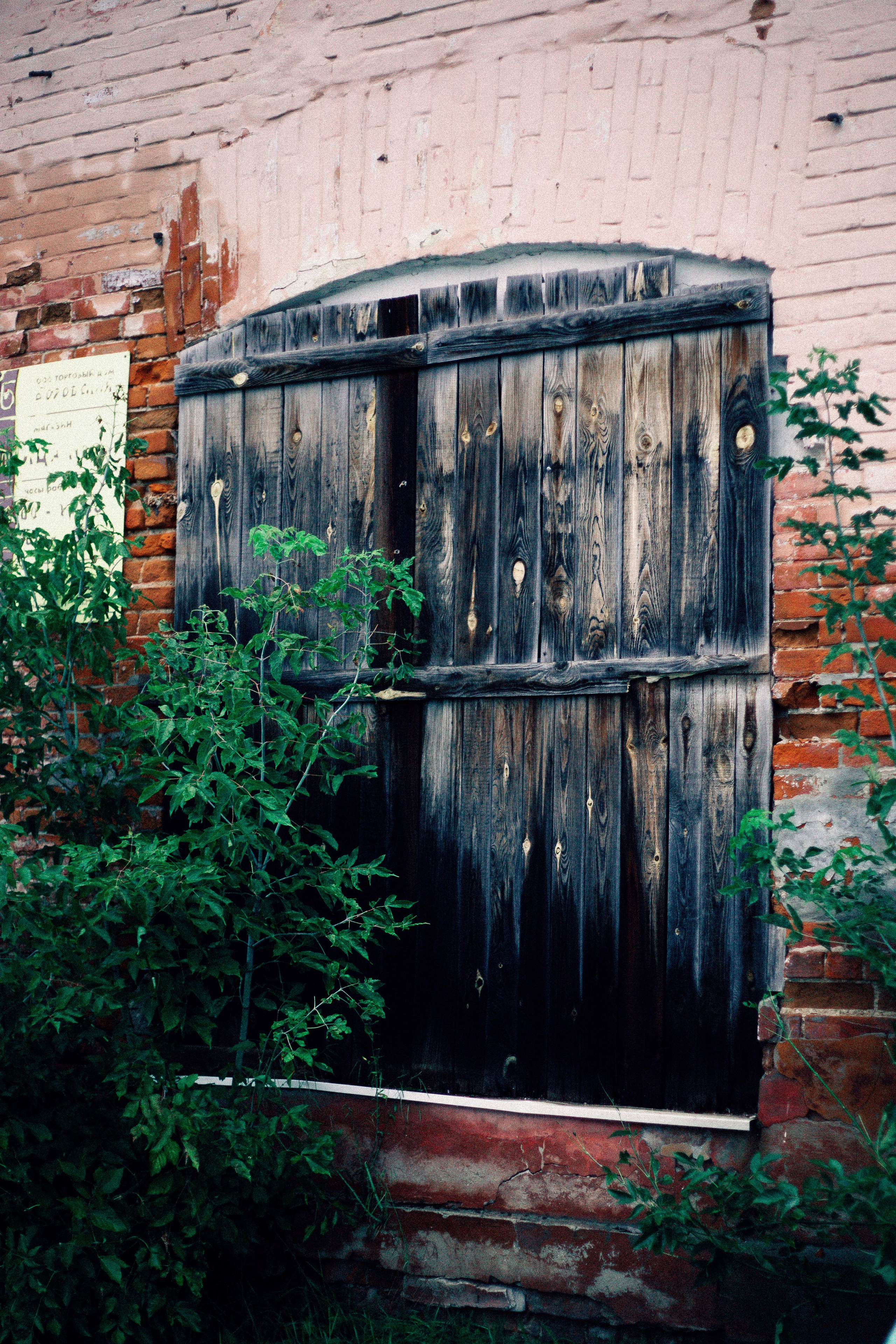 Трактирщица. Арт-фотограф Крис Л. в Тобольске: портрет, семейные, свадьбы