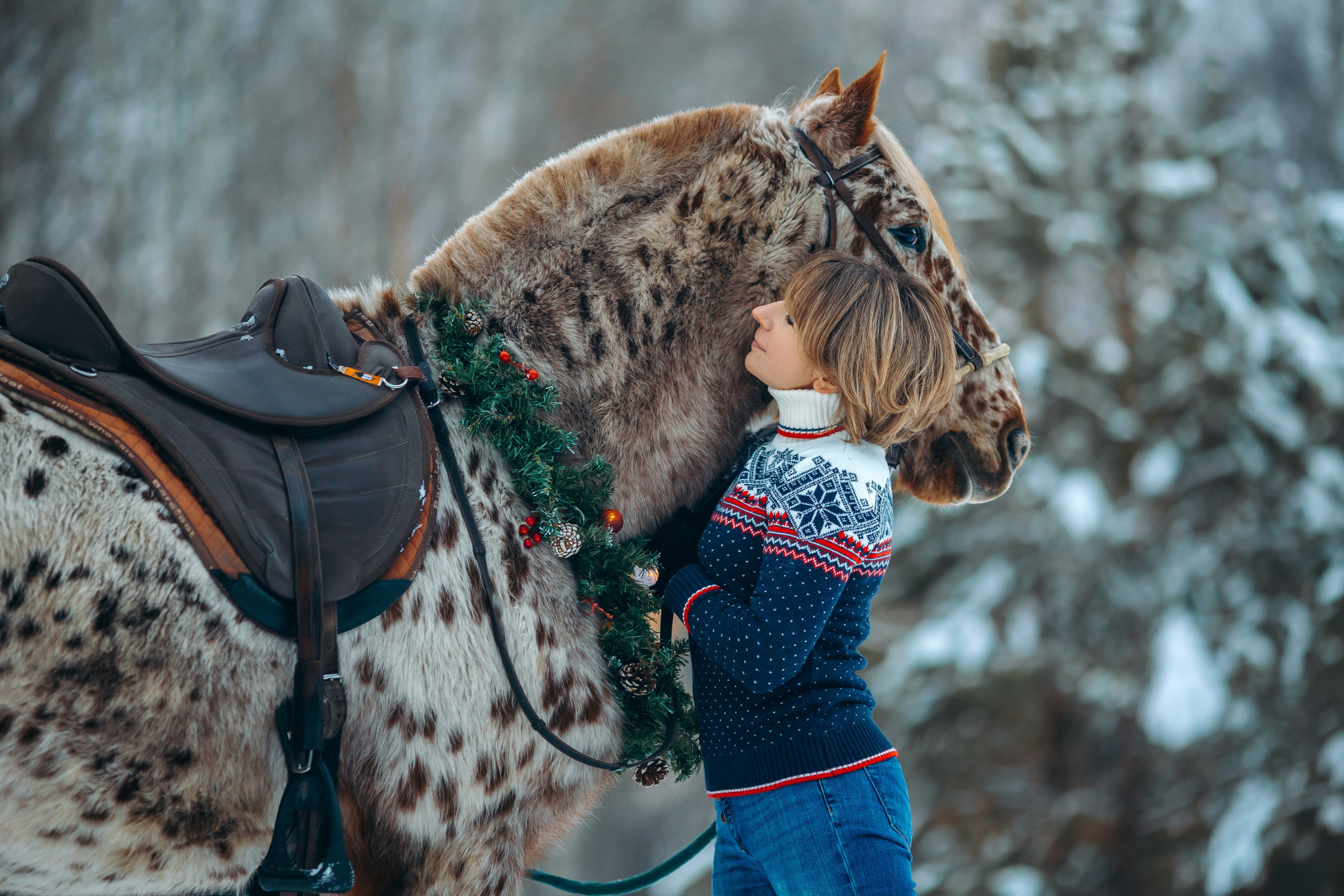 Тариф новогодний 2024. Анна Молчанова конный фотограф в Тюмени | фотосессии с лошадьми Тюмень
