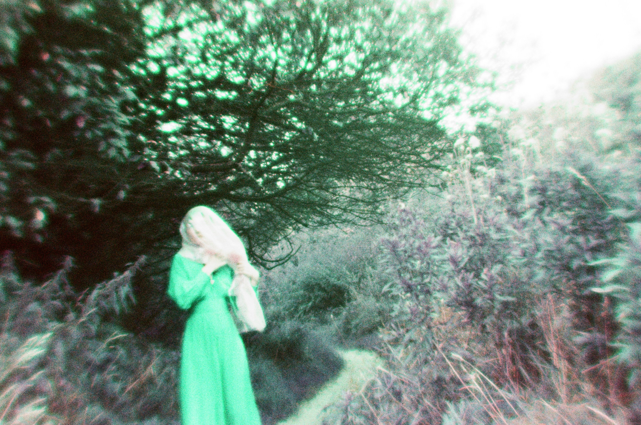 Елена Чернышова — Пираты воображения