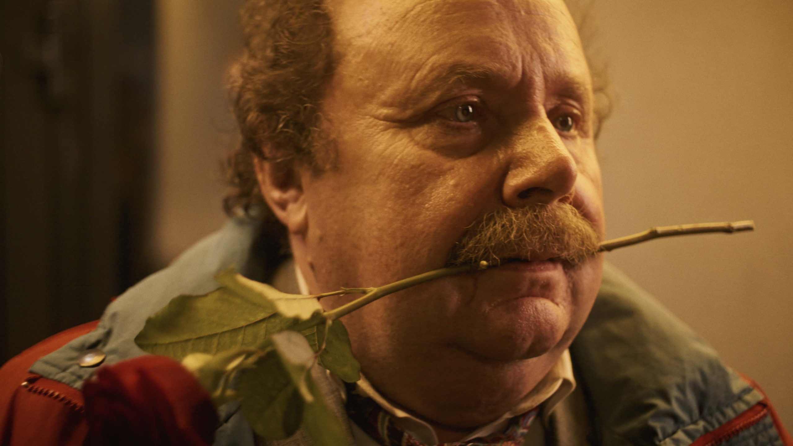 Три чашки до любви. Цветокоррекция видео