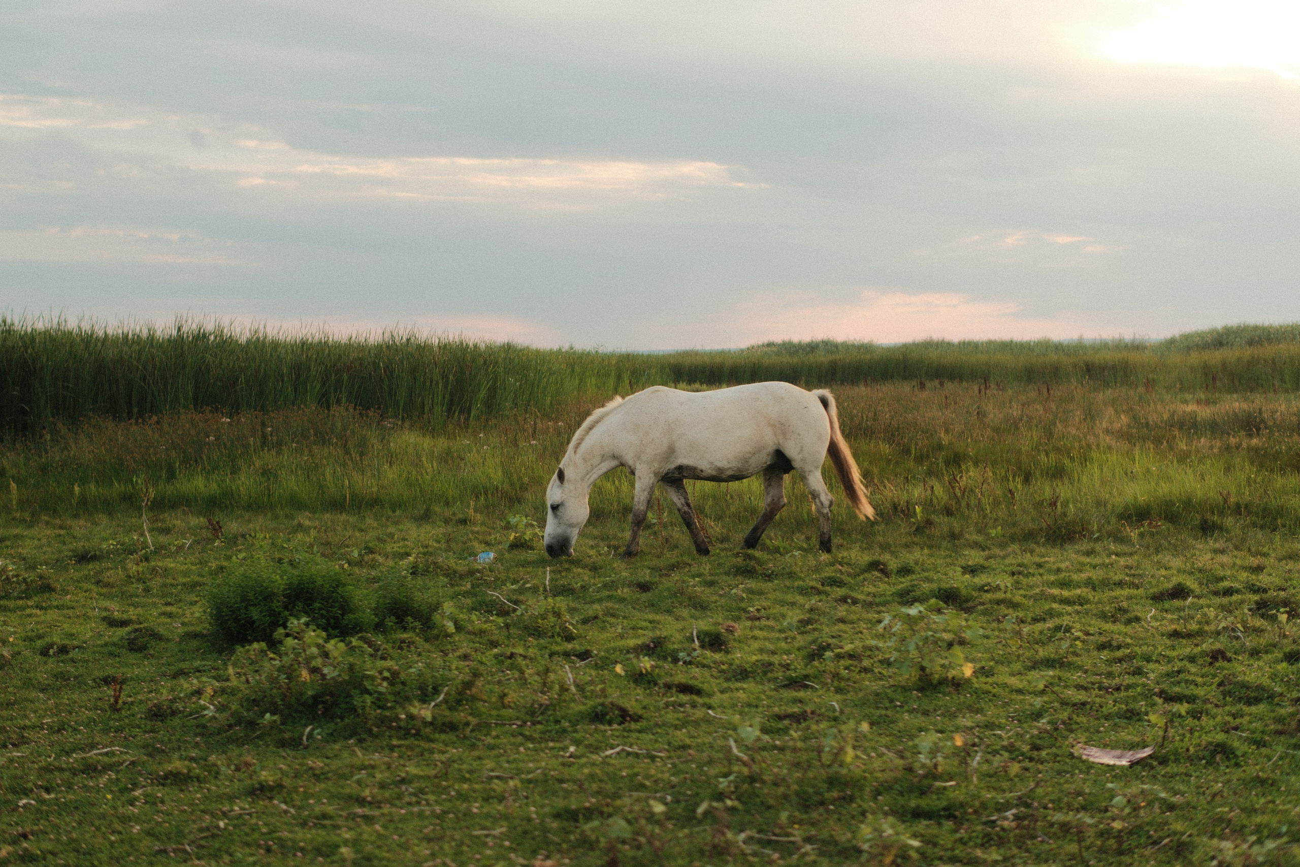 Внезапная фотосессия. Фотограф/Видеограф из Саратова