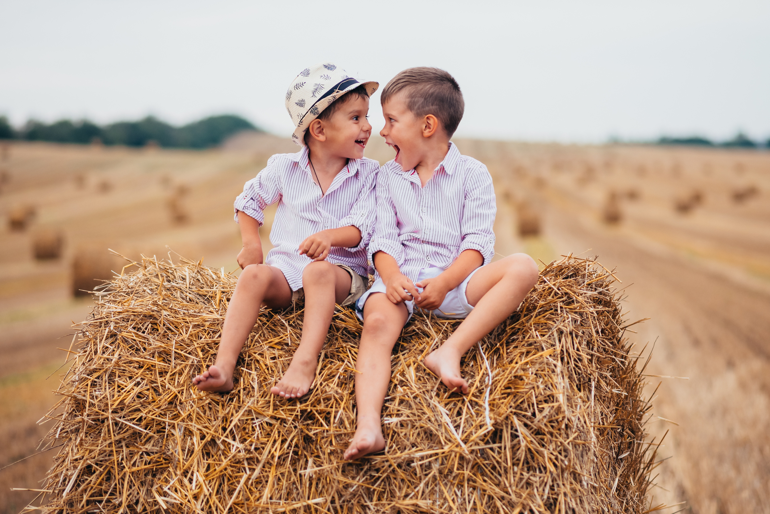 Фотосессия в поле. Свадебный и семейный фотограф в Симферополе Дарья Маркова