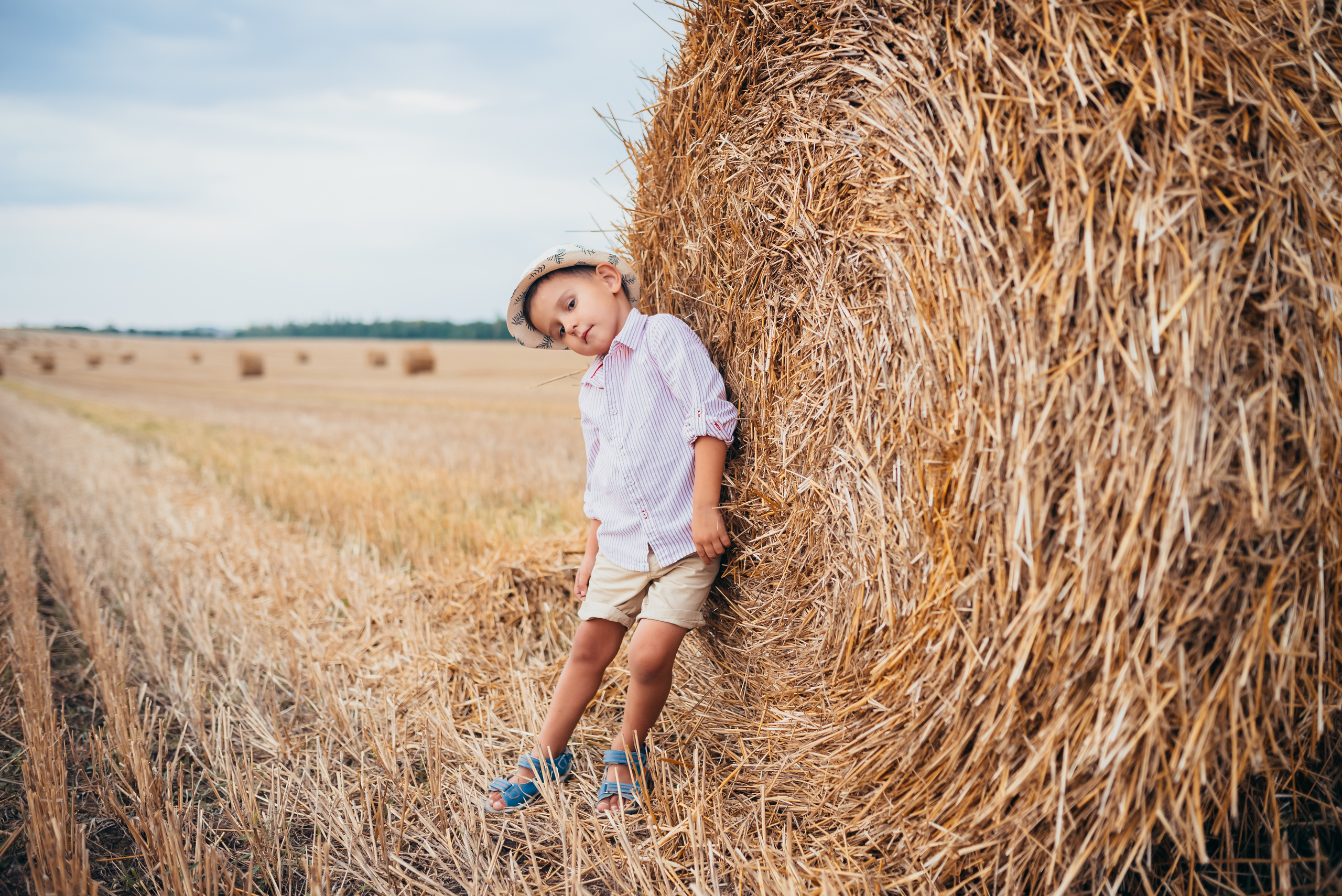Фотосессия в поле. Свадебный и семейный фотограф в Симферополе Дарья Маркова
