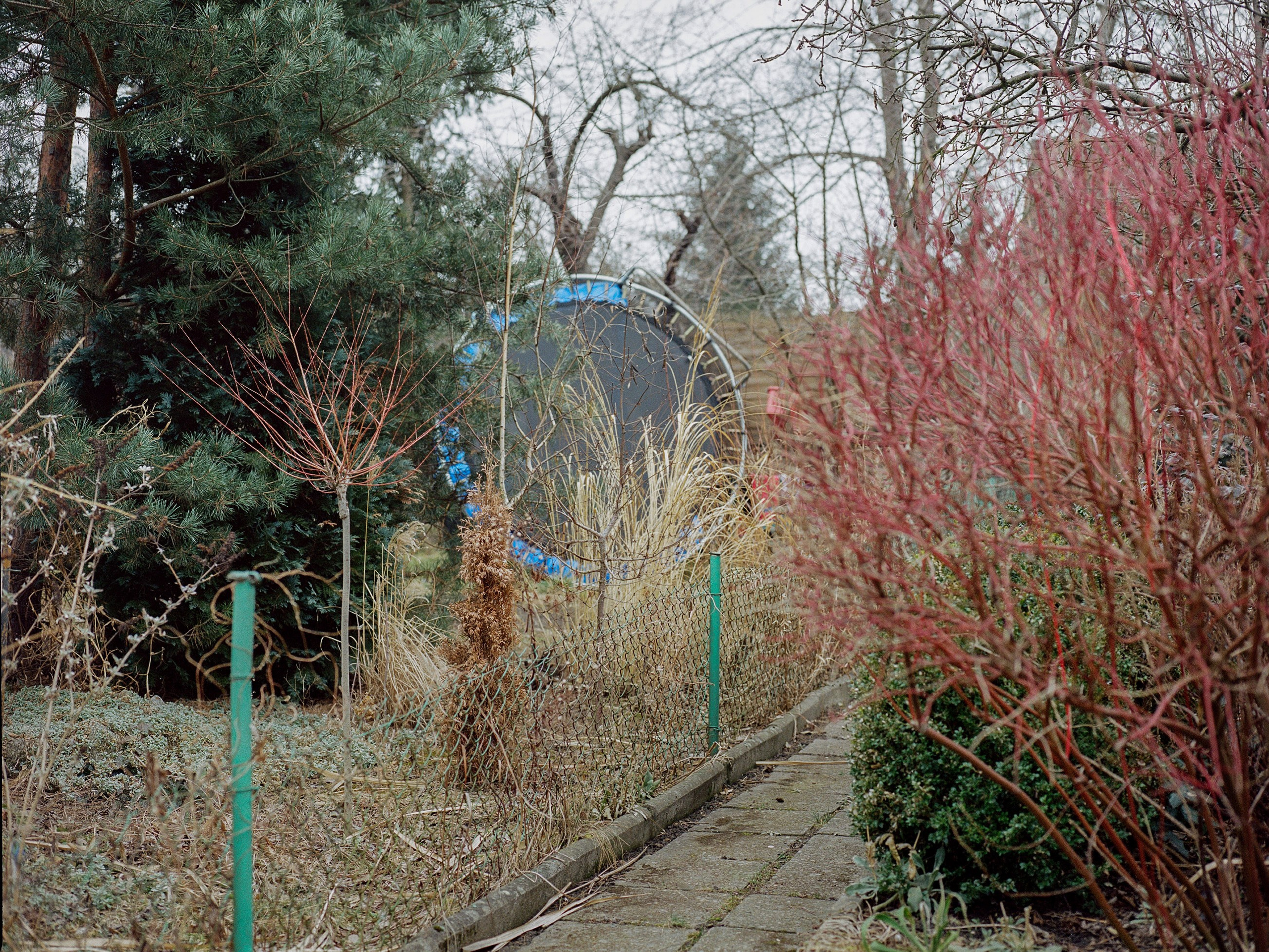 Dancing with absurdity. Photographer, Documentary and Art