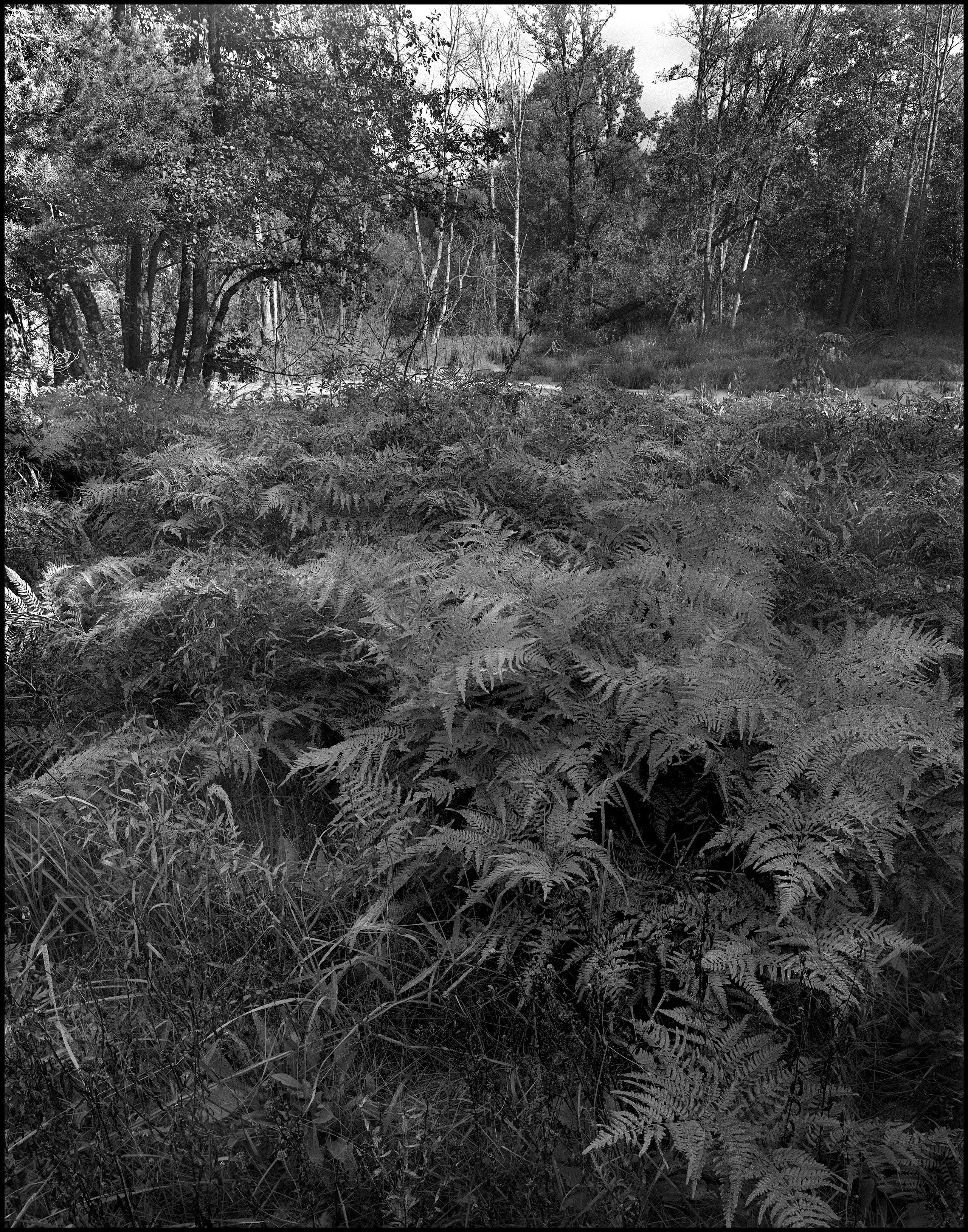 Landscape. Sergey Kondriuk art-photographer | artist