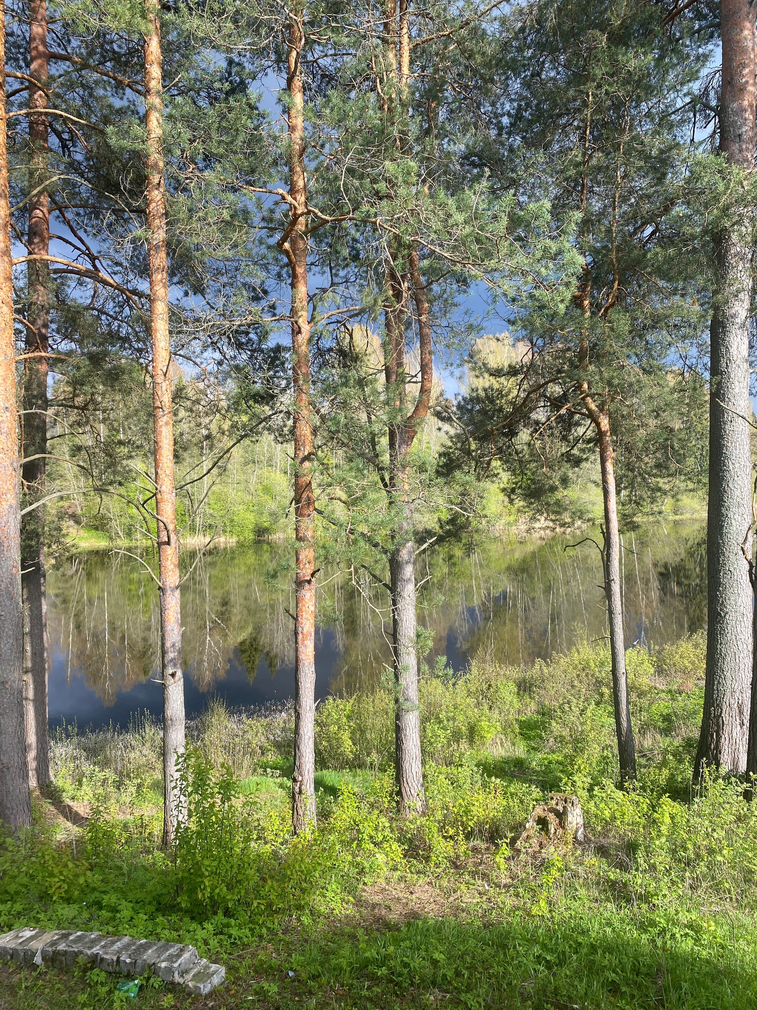 Пленэр на Академической даче им. И. Е. Репина с 12.05.2025. Живописец Ирина Пинская