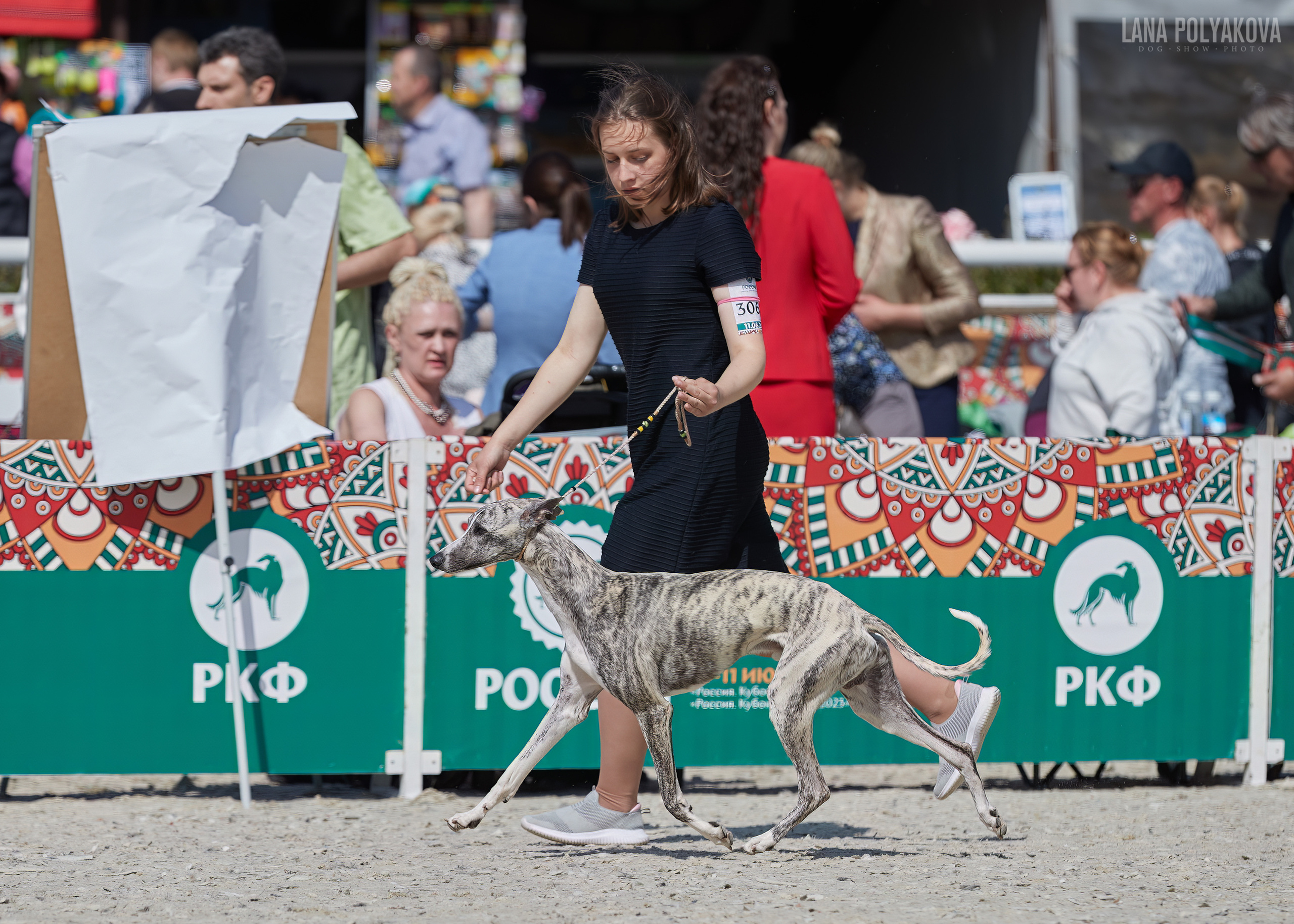 NDS «Russia. RKF Cup 2023», MOSCOW. ФОТОГРАФ-АНИМАЛИСТ l LANA POLYAKOVA