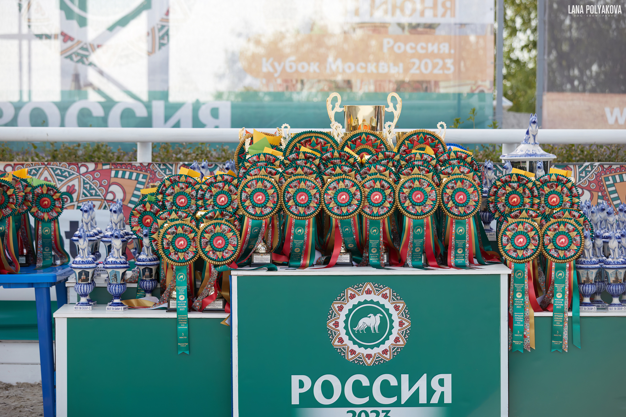 NDS «Russia. RKF Cup 2023», MOSCOW. ФОТОГРАФ-АНИМАЛИСТ l LANA POLYAKOVA