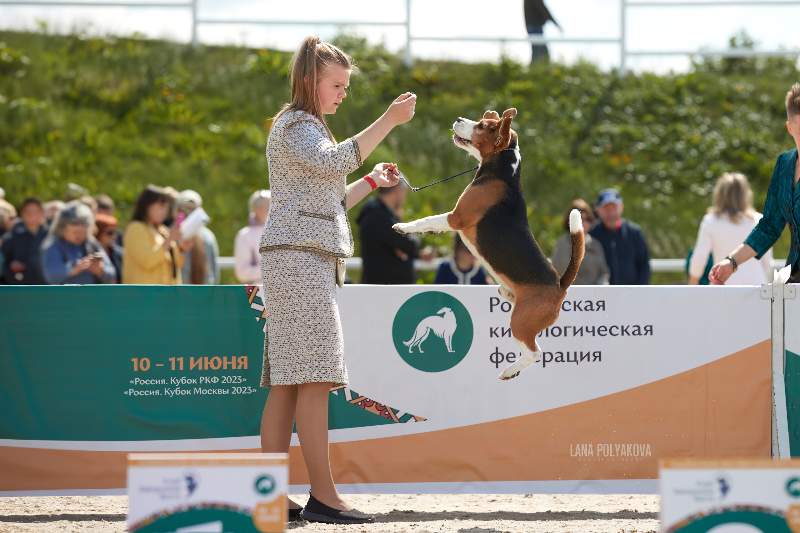 NDS «Russia. RKF Cup 2023», MOSCOW. ФОТОГРАФ-АНИМАЛИСТ l LANA POLYAKOVA