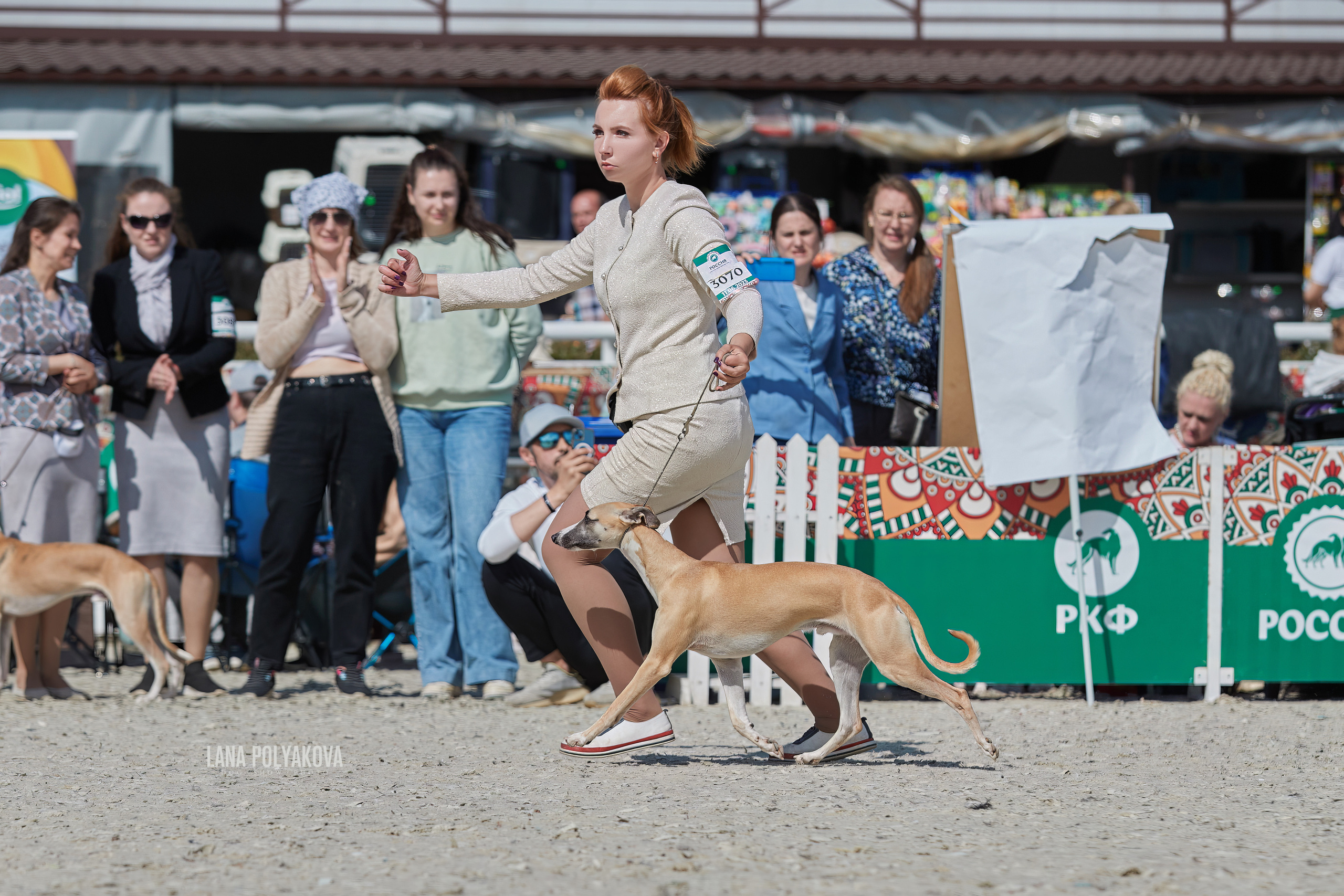NDS «Russia. RKF Cup 2023», MOSCOW. ФОТОГРАФ-АНИМАЛИСТ l LANA POLYAKOVA