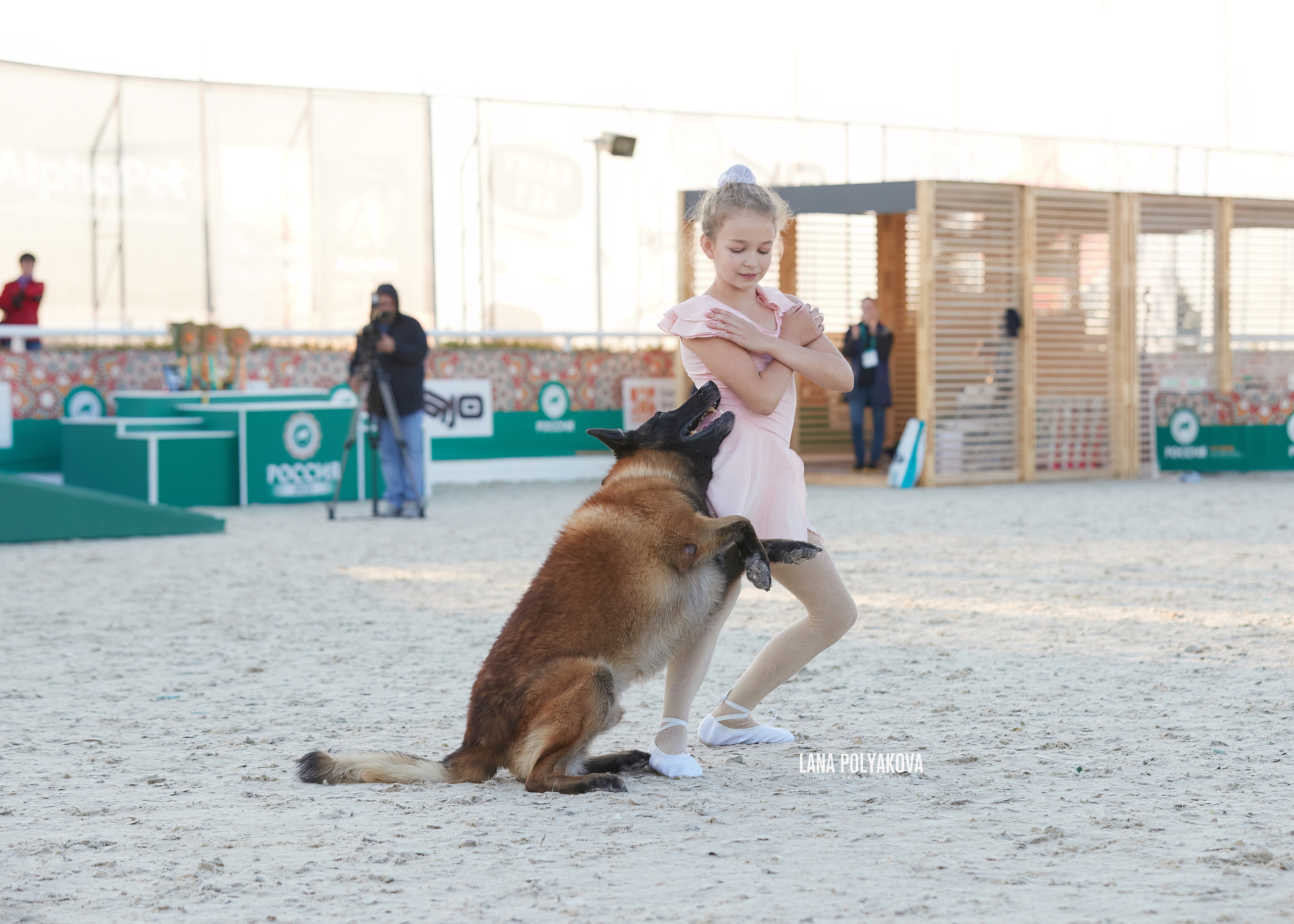NDS «Russia. RKF Cup 2023», MOSCOW. ФОТОГРАФ-АНИМАЛИСТ l LANA POLYAKOVA