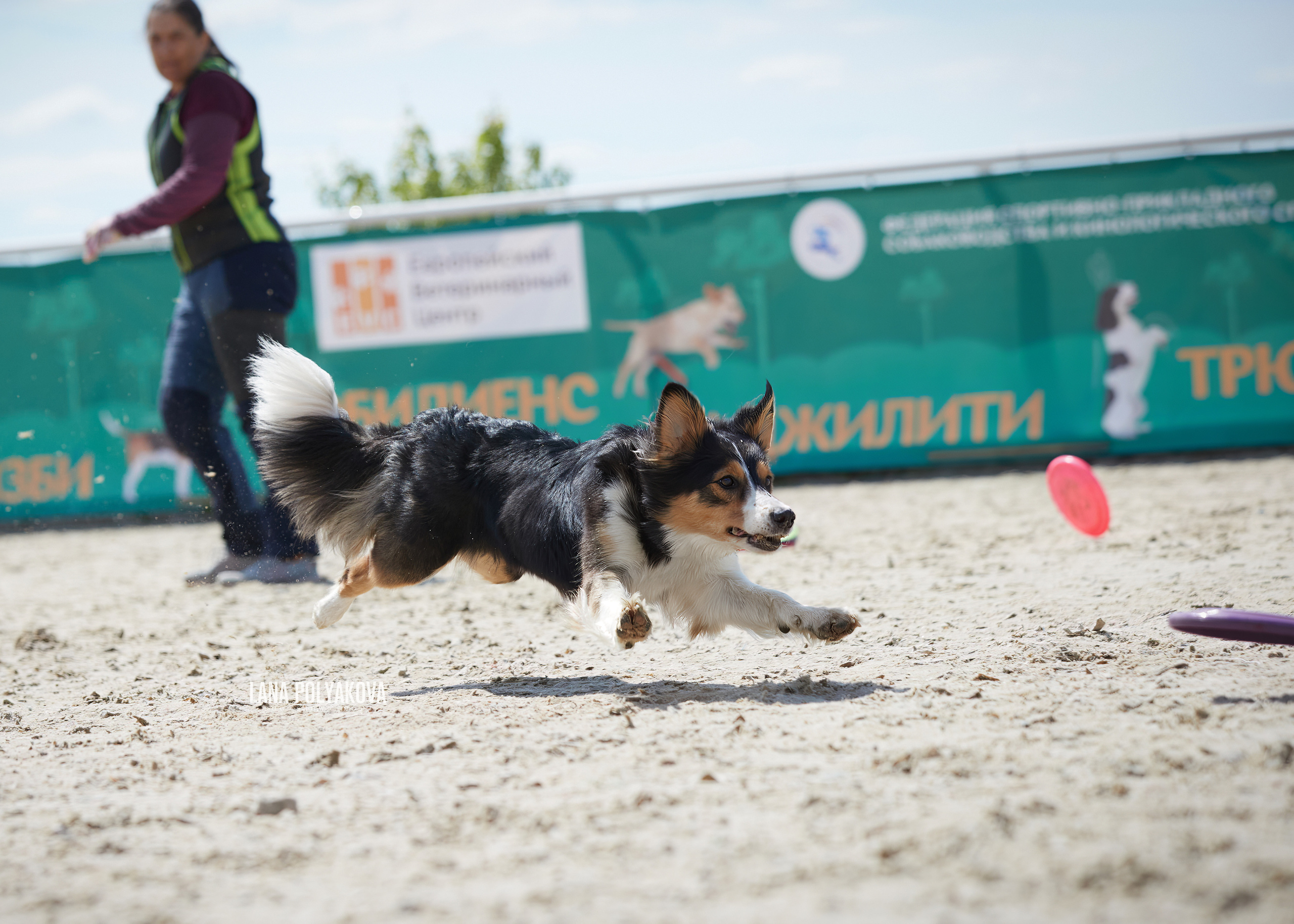 NDS «Russia. RKF Cup 2023», MOSCOW. ФОТОГРАФ-АНИМАЛИСТ l LANA POLYAKOVA