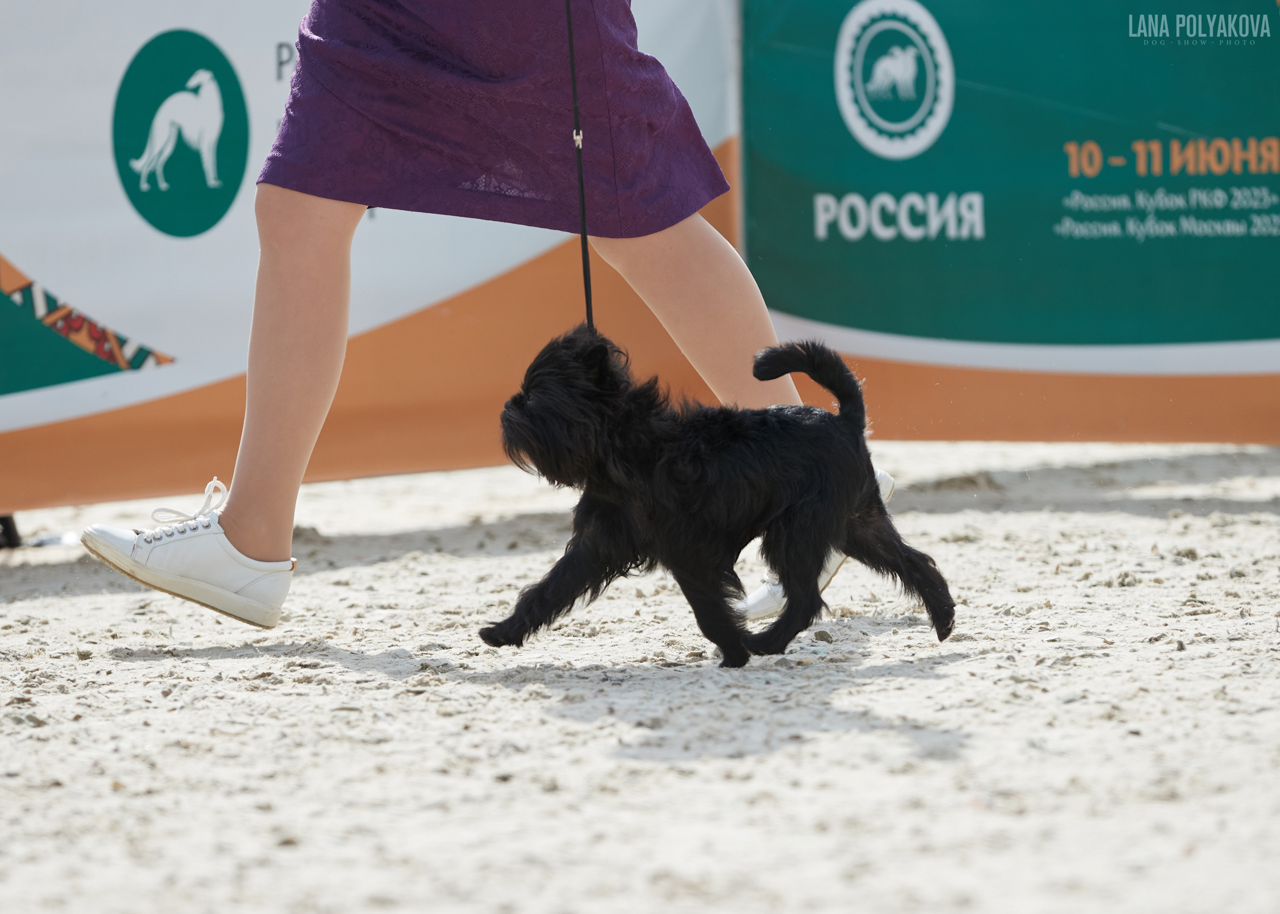 NDS «Russia. RKF Cup 2023», MOSCOW. ФОТОГРАФ-АНИМАЛИСТ l LANA POLYAKOVA