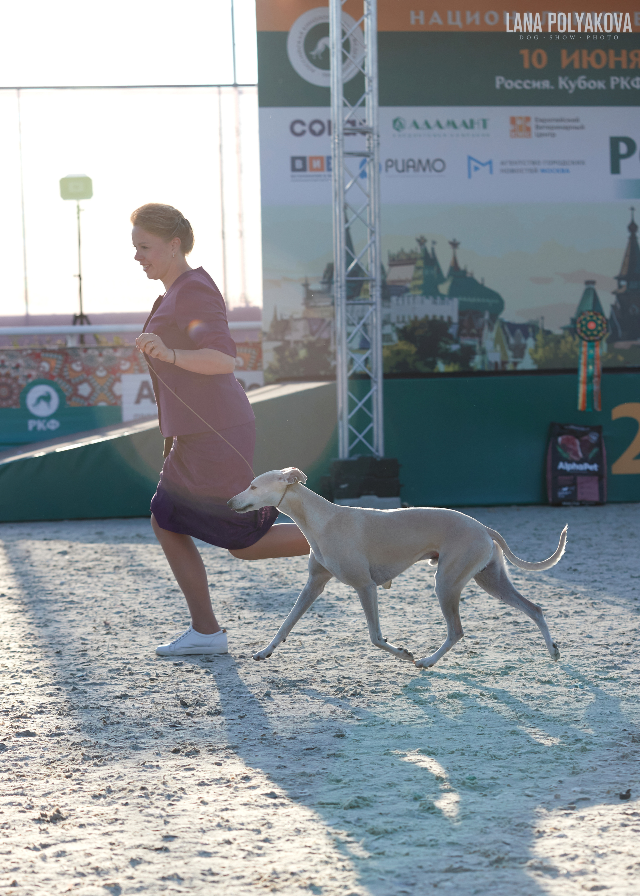 NDS «Russia. RKF Cup 2023», MOSCOW. ФОТОГРАФ-АНИМАЛИСТ l LANA POLYAKOVA
