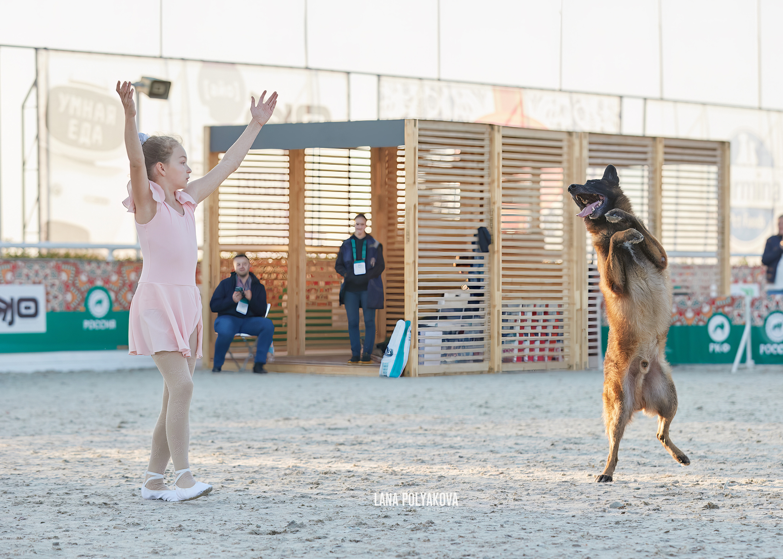 NDS «Russia. RKF Cup 2023», MOSCOW. ФОТОГРАФ-АНИМАЛИСТ l LANA POLYAKOVA