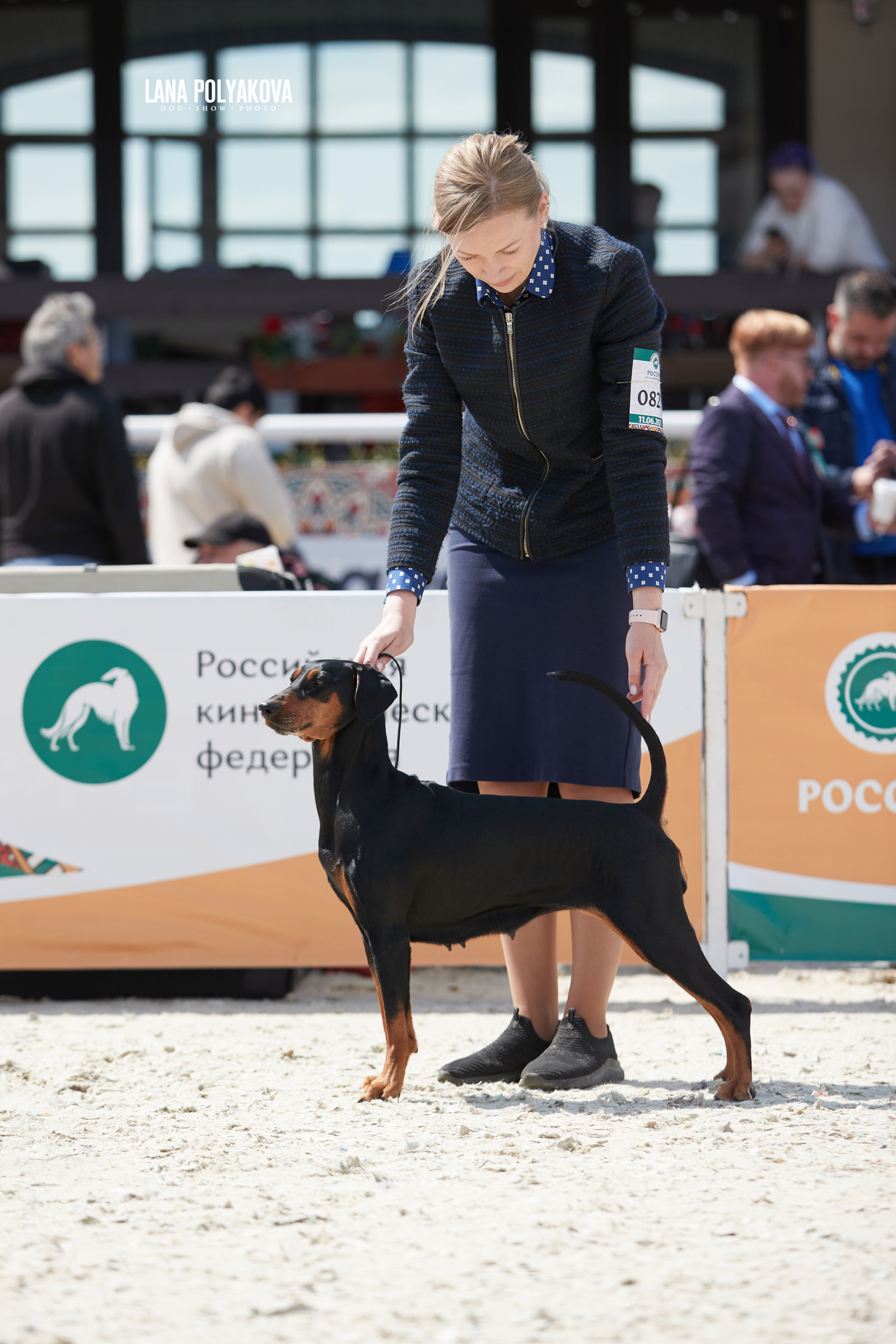 NDS «Russia. RKF Cup 2023», MOSCOW. ФОТОГРАФ-АНИМАЛИСТ l LANA POLYAKOVA